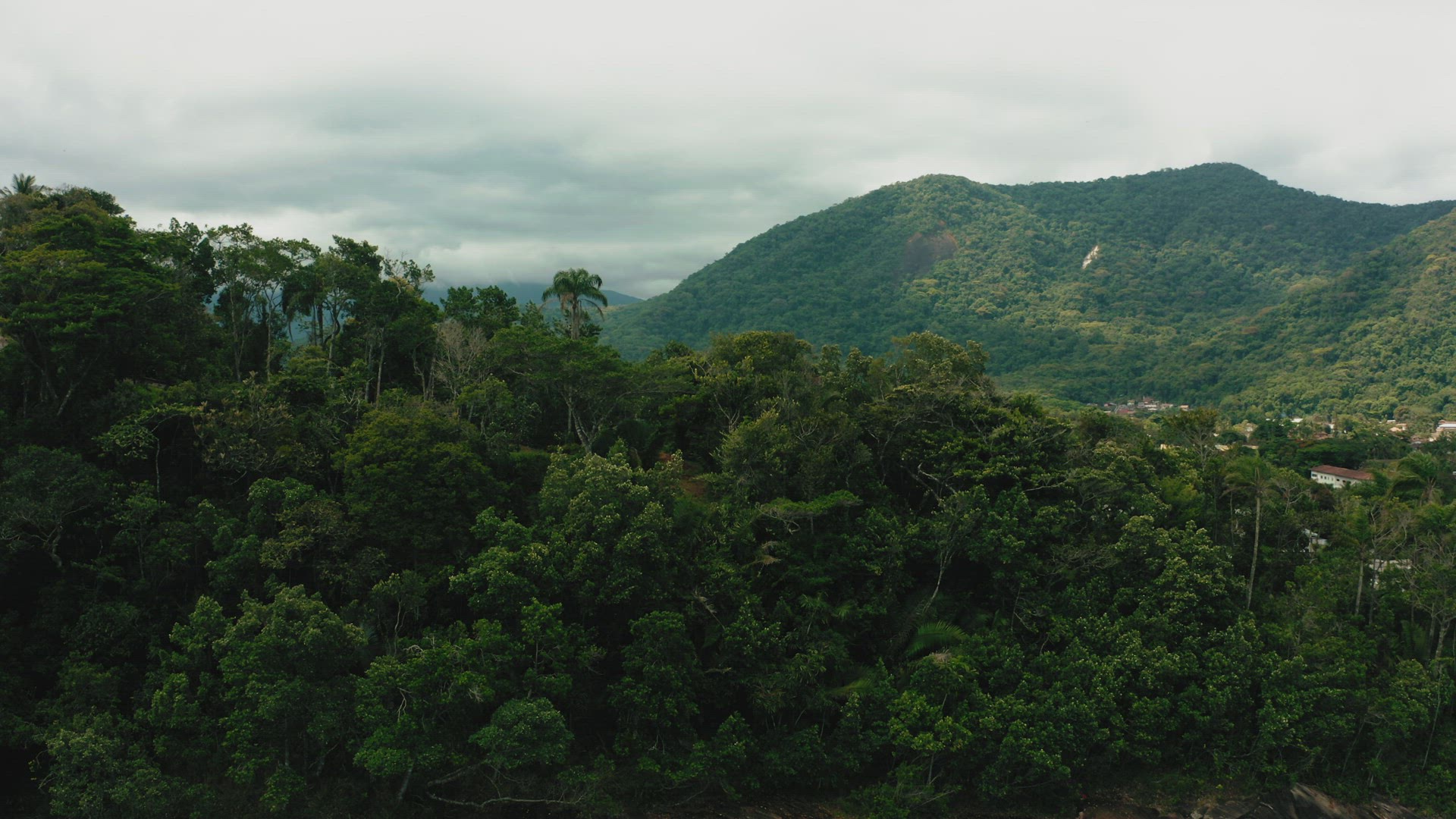 brazil coastline palms beach bay ocean cloudy ubatuba lifestyle travel aerial establisher mountains 