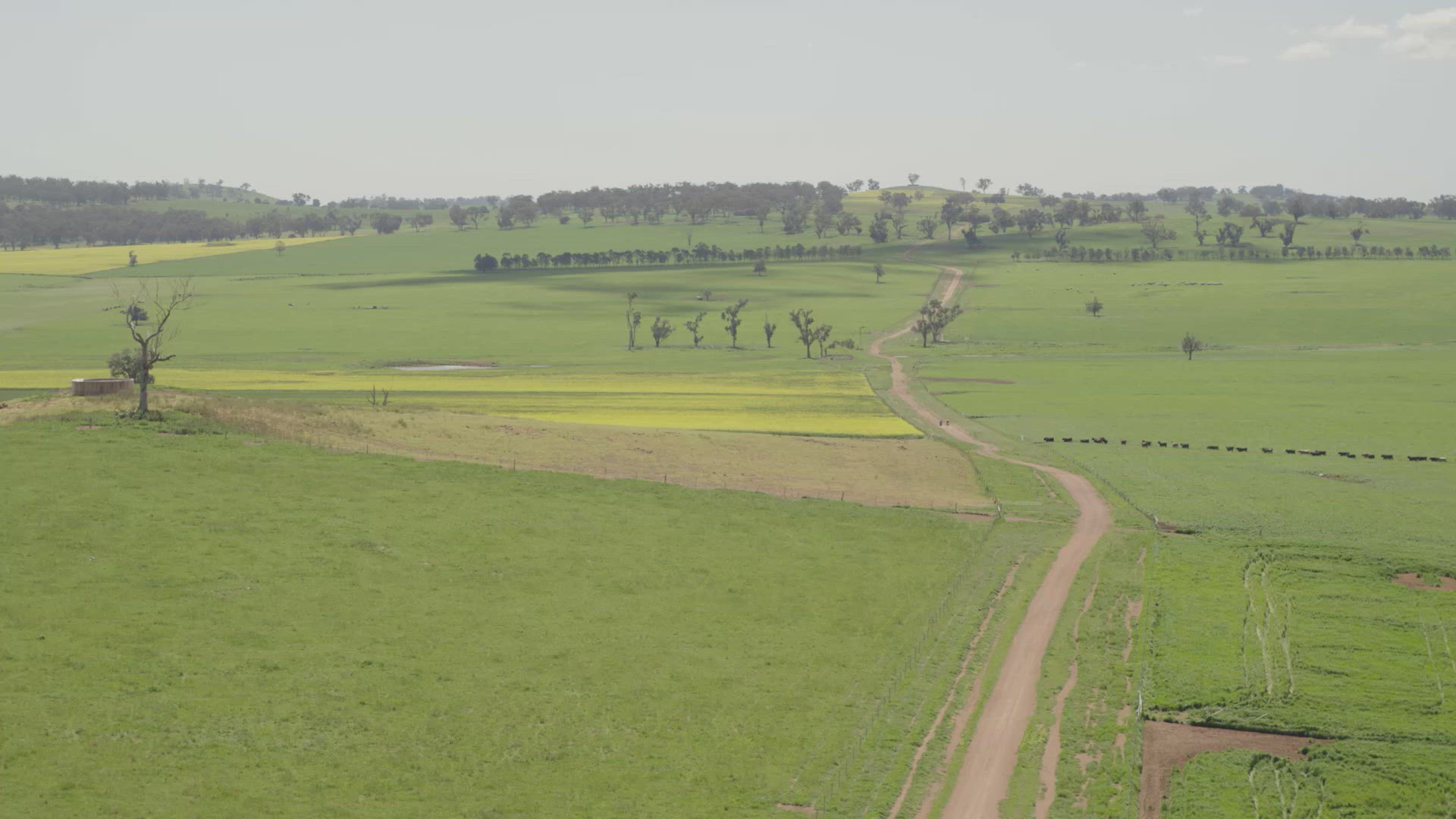 Two farmers ride motobikes through farm