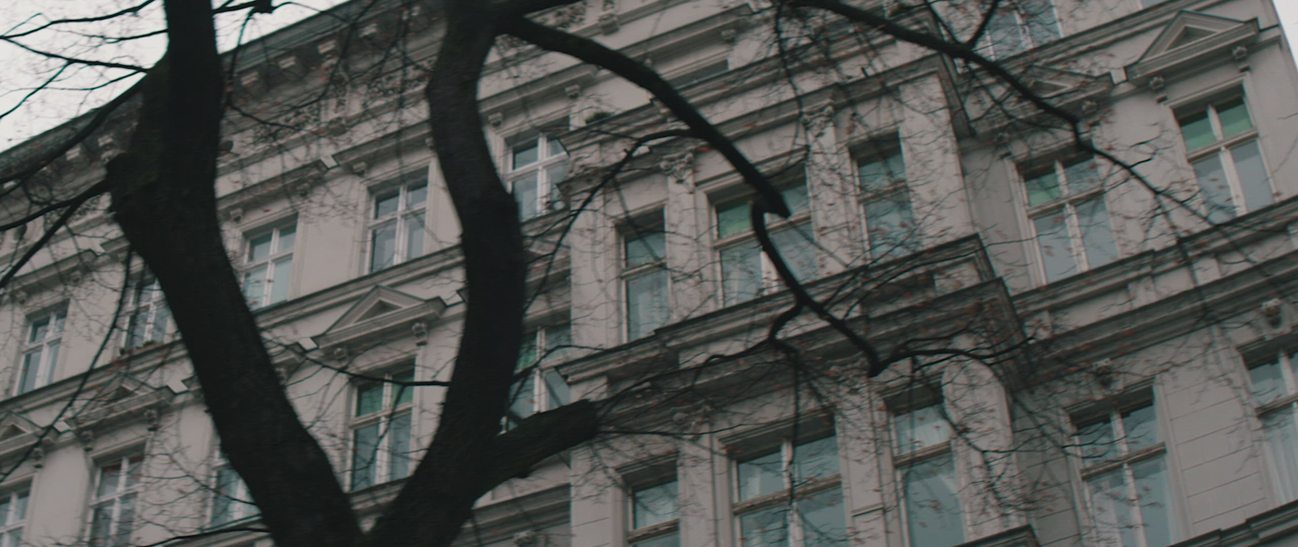 Housefront Driveby Berlin Winter overcastday 4k urban