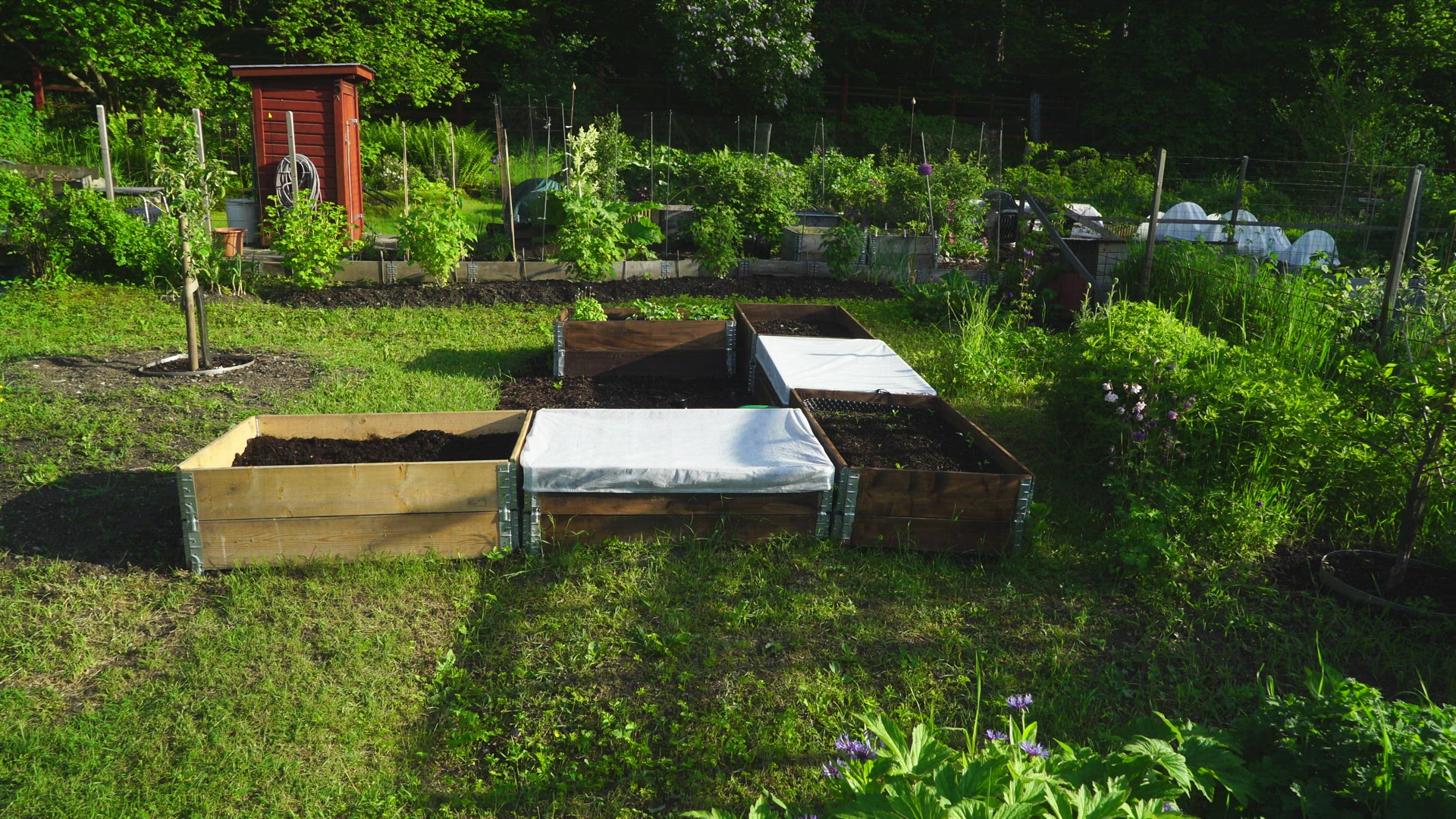 allotment