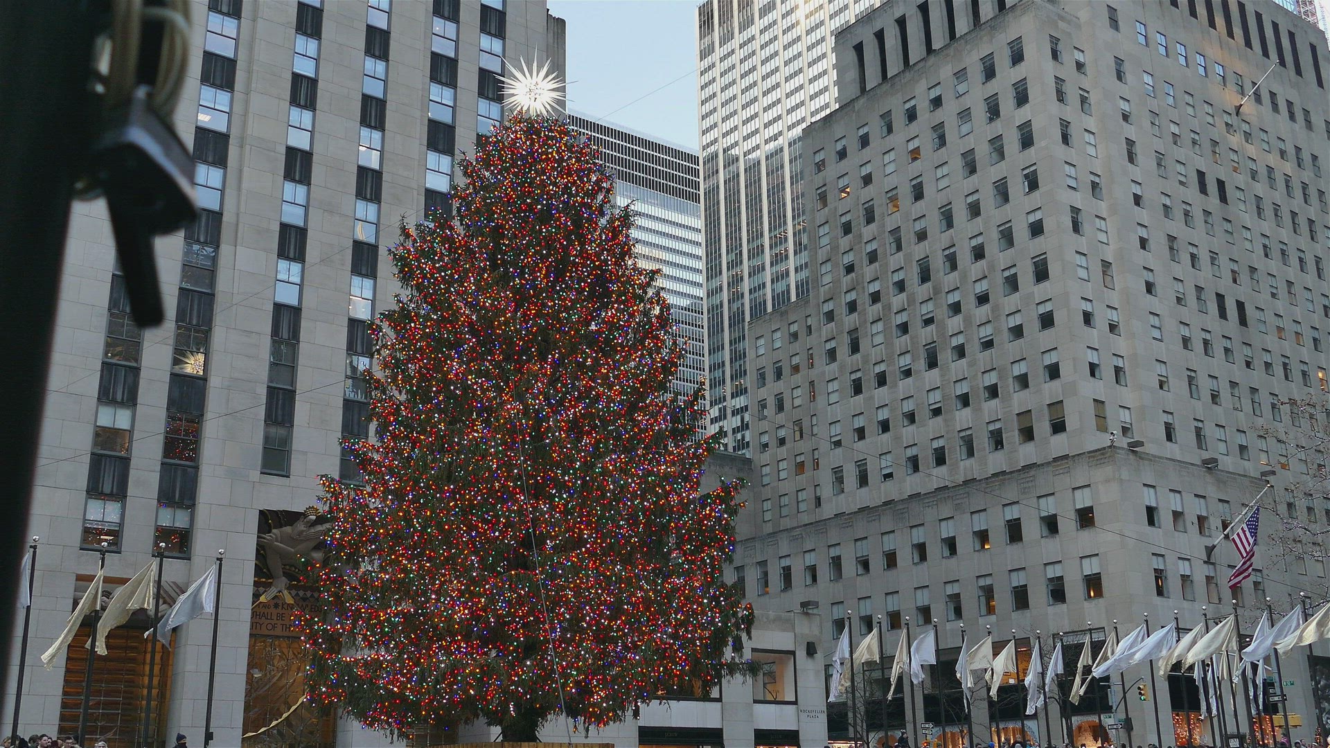 Christmas tree 