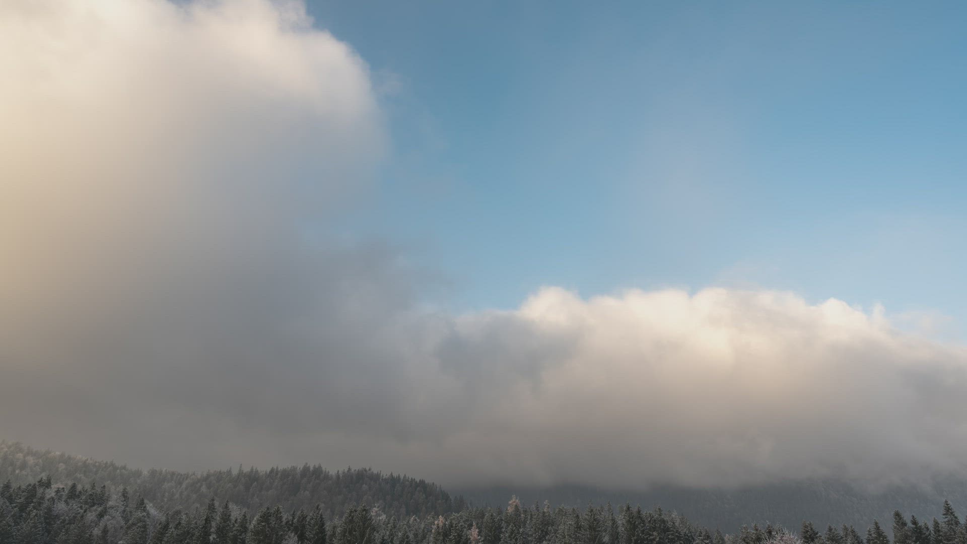 GER_201129 Z6_8