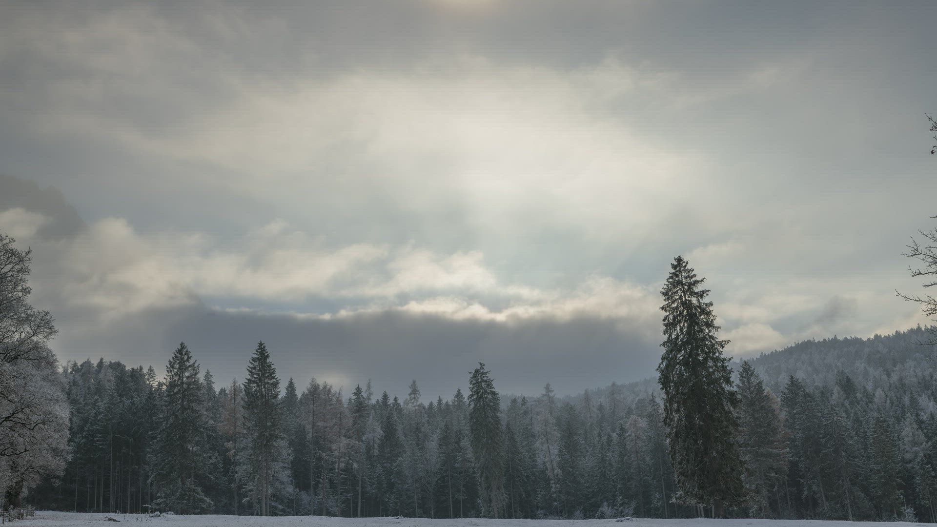 GER_201129 D850_2
