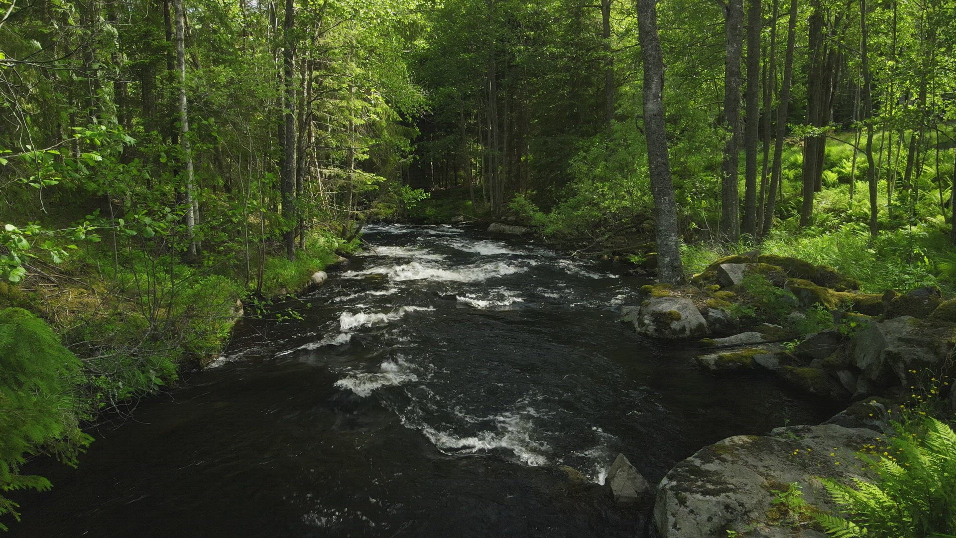 pov - drone flying over small river in swedish forest