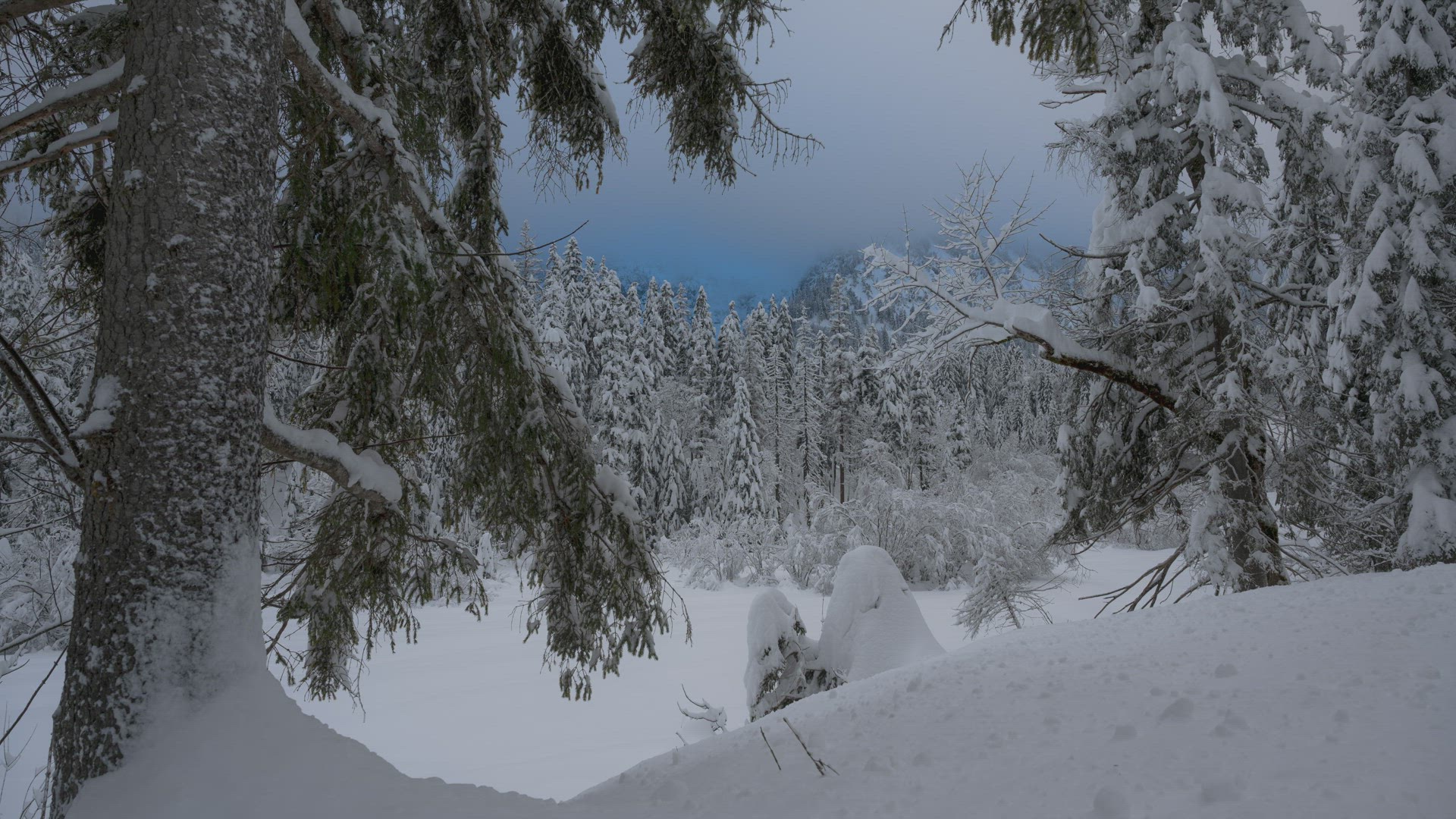 GER_210115 Z6_7