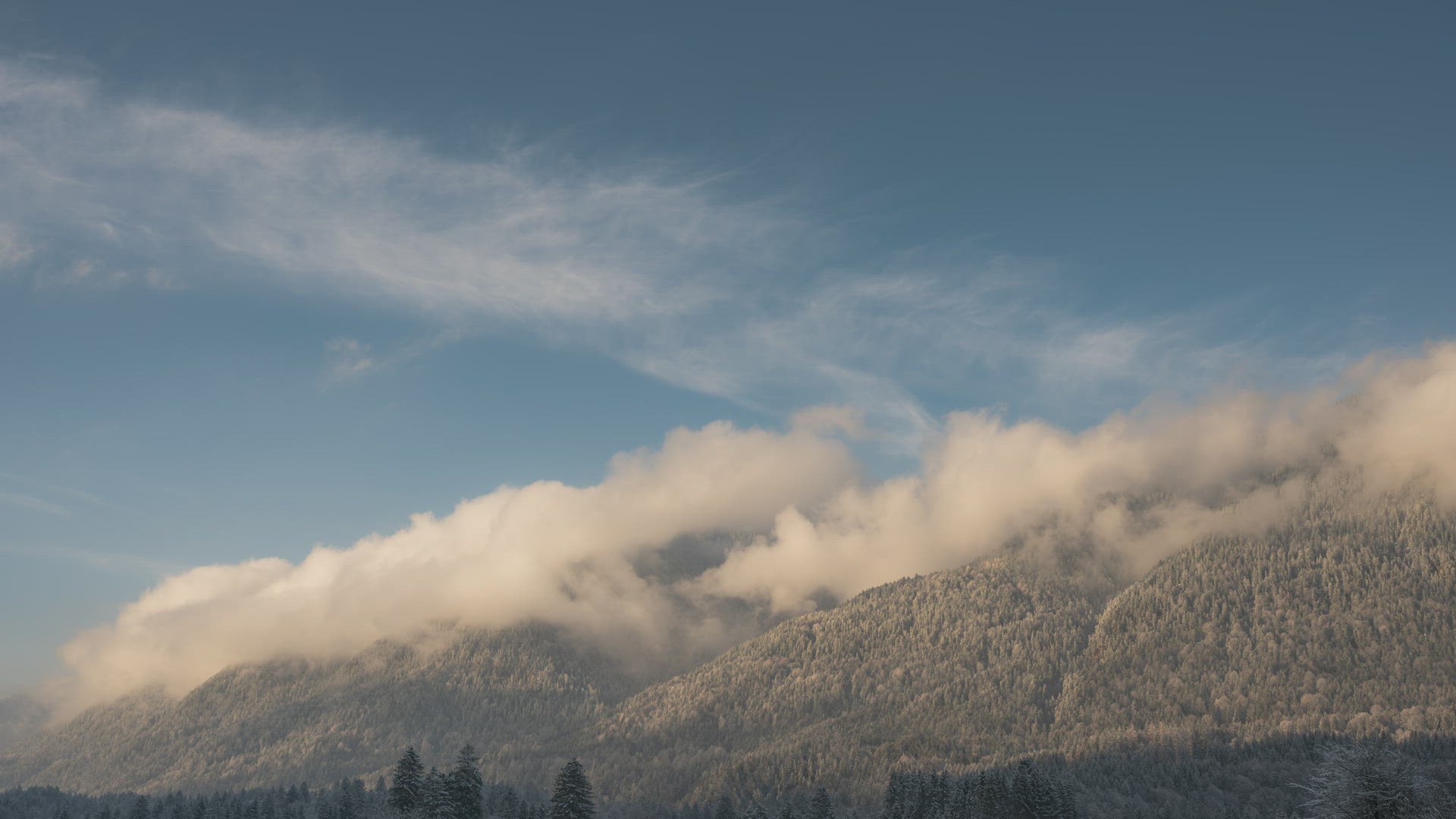 GER_201203 Z6_7