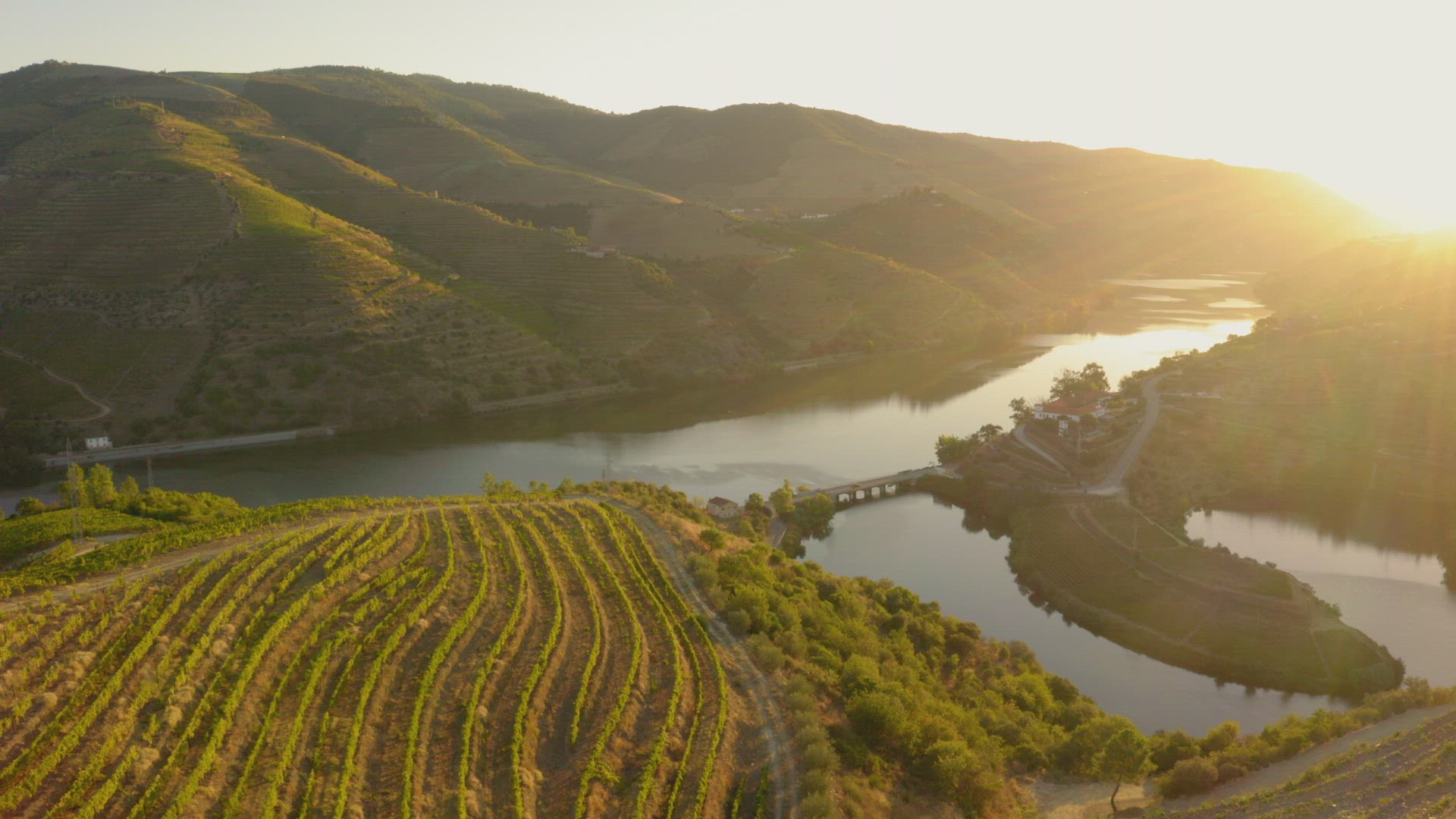 Douro vines drone tilt up