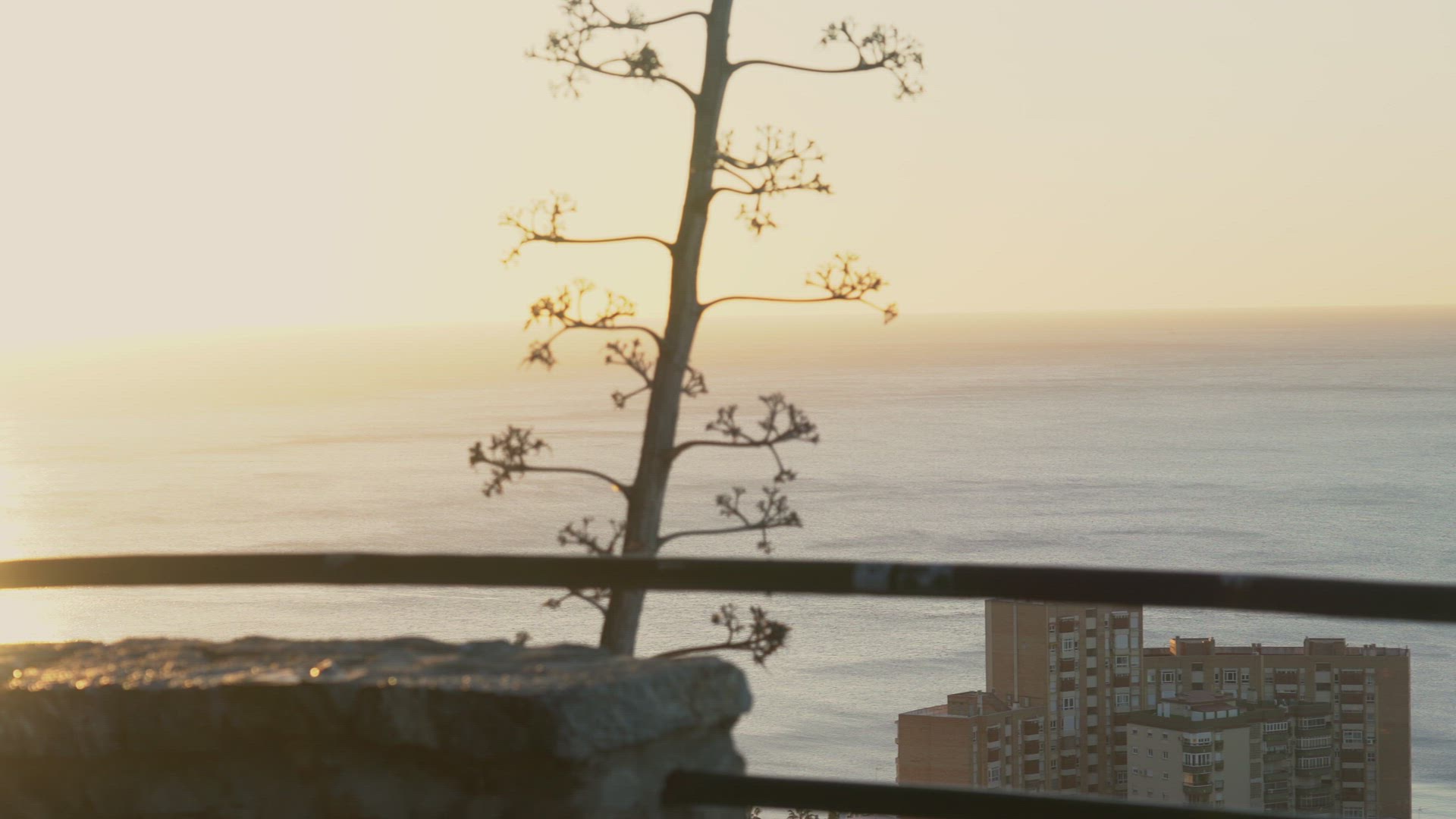 Sea at sunset with buildings in foreground, Malaga, Spain