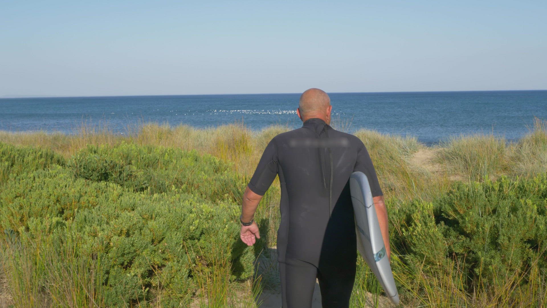 Rear view of man carrying surfboard on coast, Lorne, Victoria, Australia