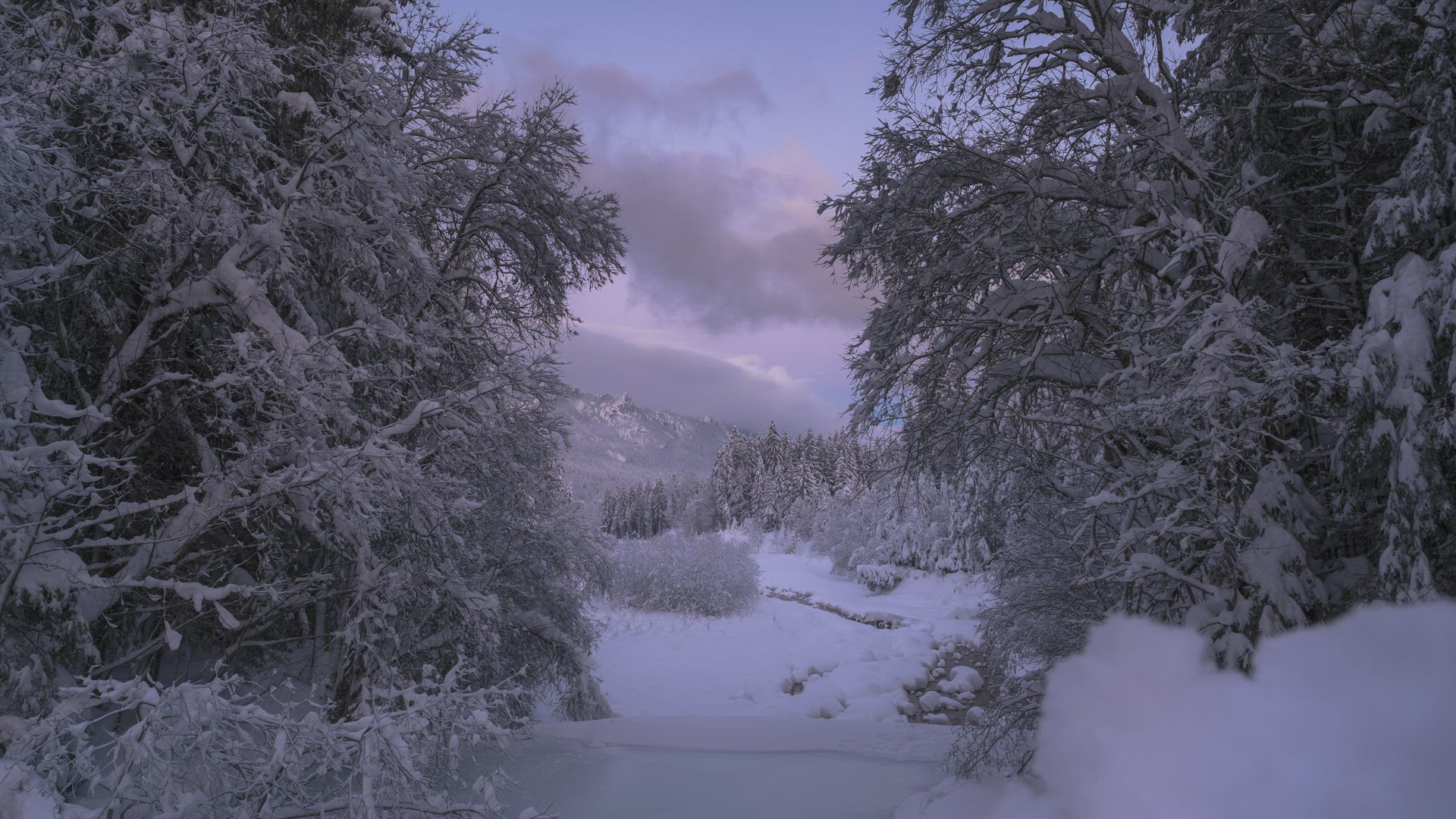 GER_210115 Z6_8
