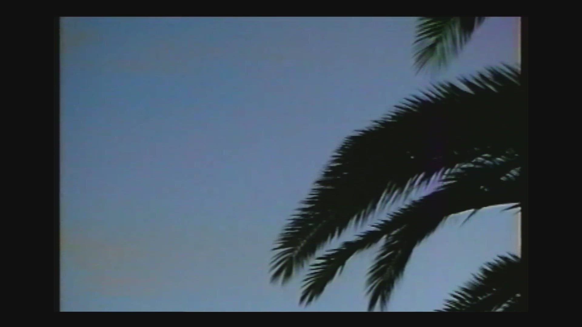 Palm trees against sky, Croatia