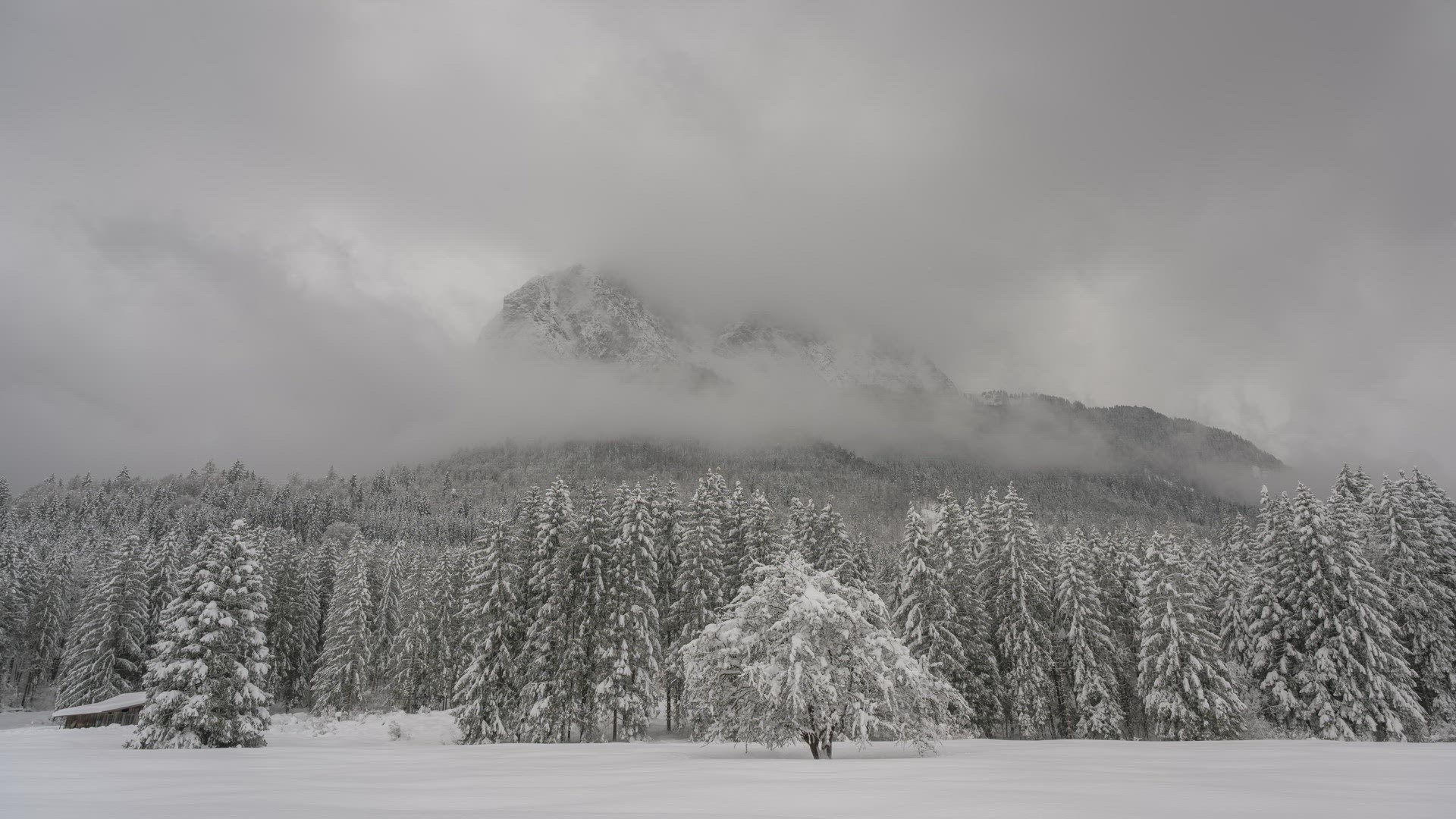 GER_210118 Z6_11