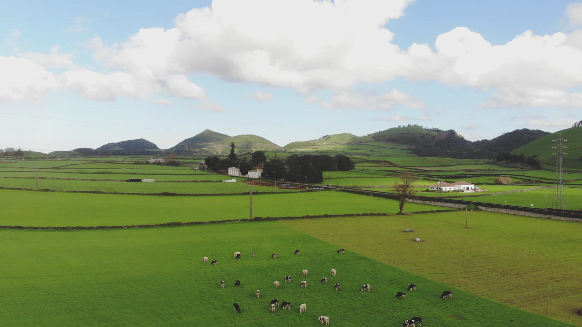 Panoramic of Vast green grazing fields in Azores, Portugal - Fly-over Reveal shot