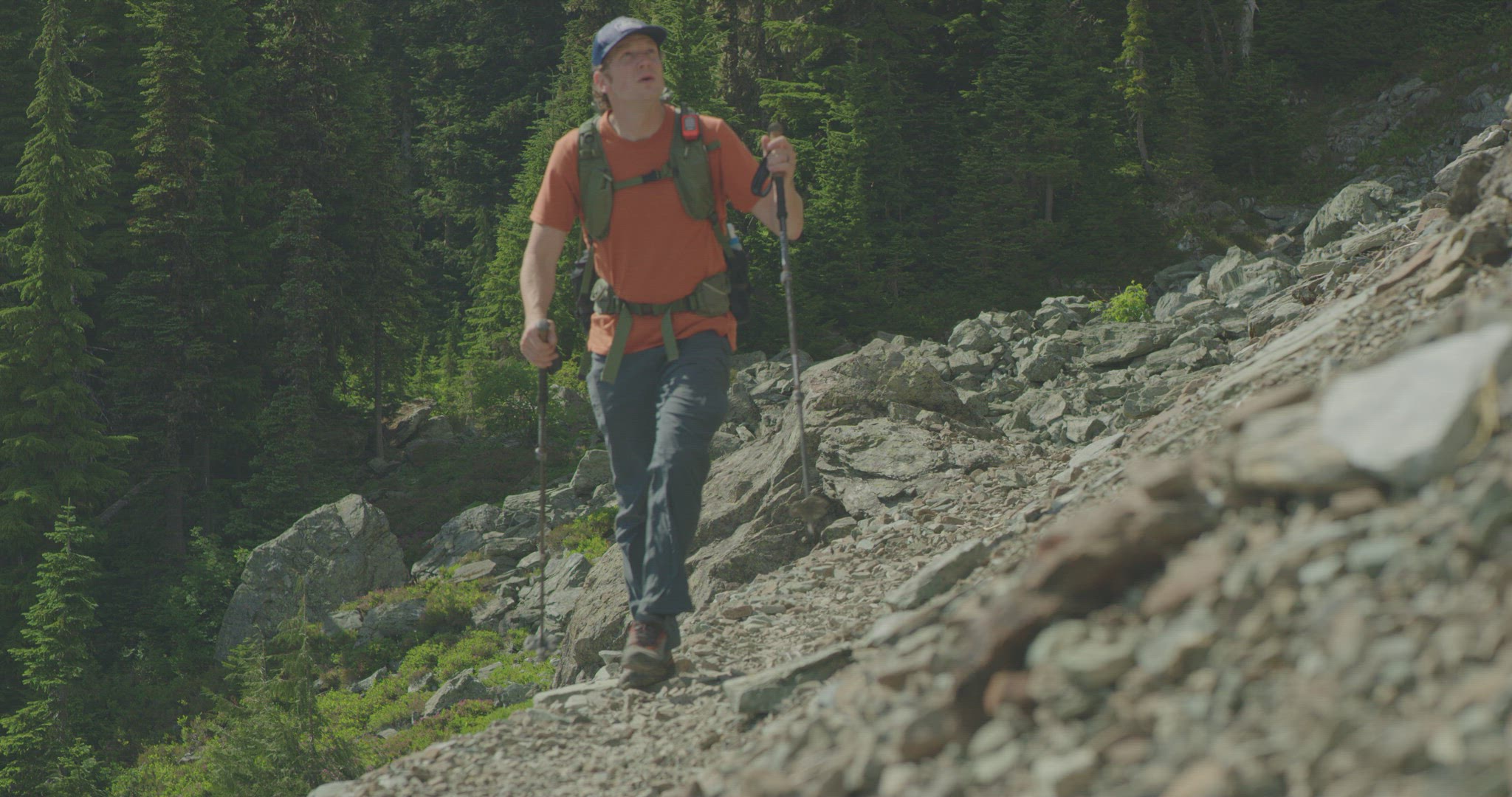 Hiker walking along trail 