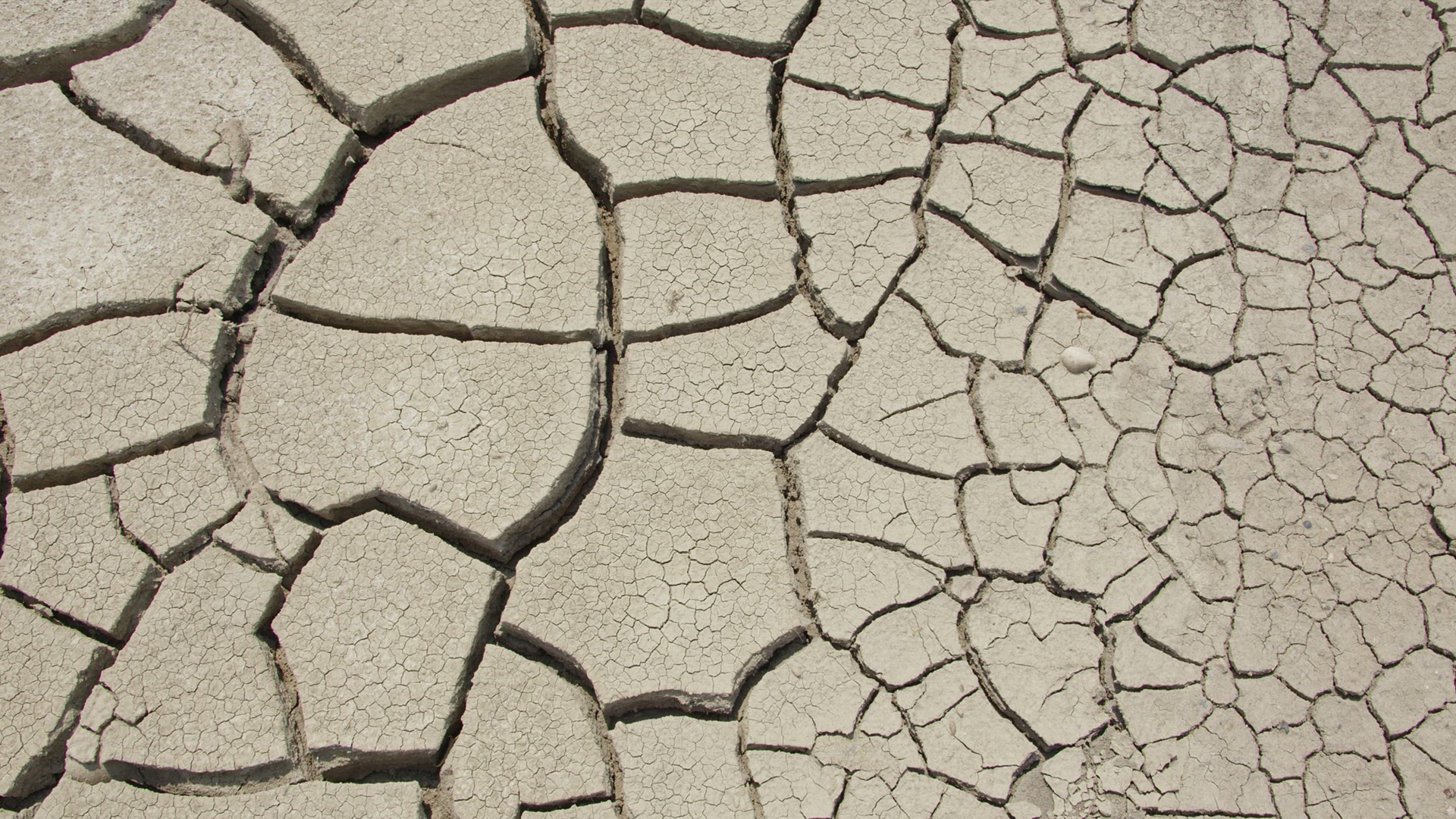 Texture from mud dried in the heat of summer during drought in Utah