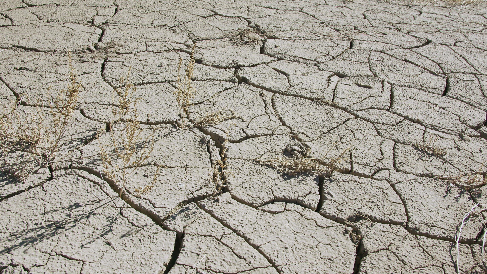 Panning over dry mud cracks during drought in 2021