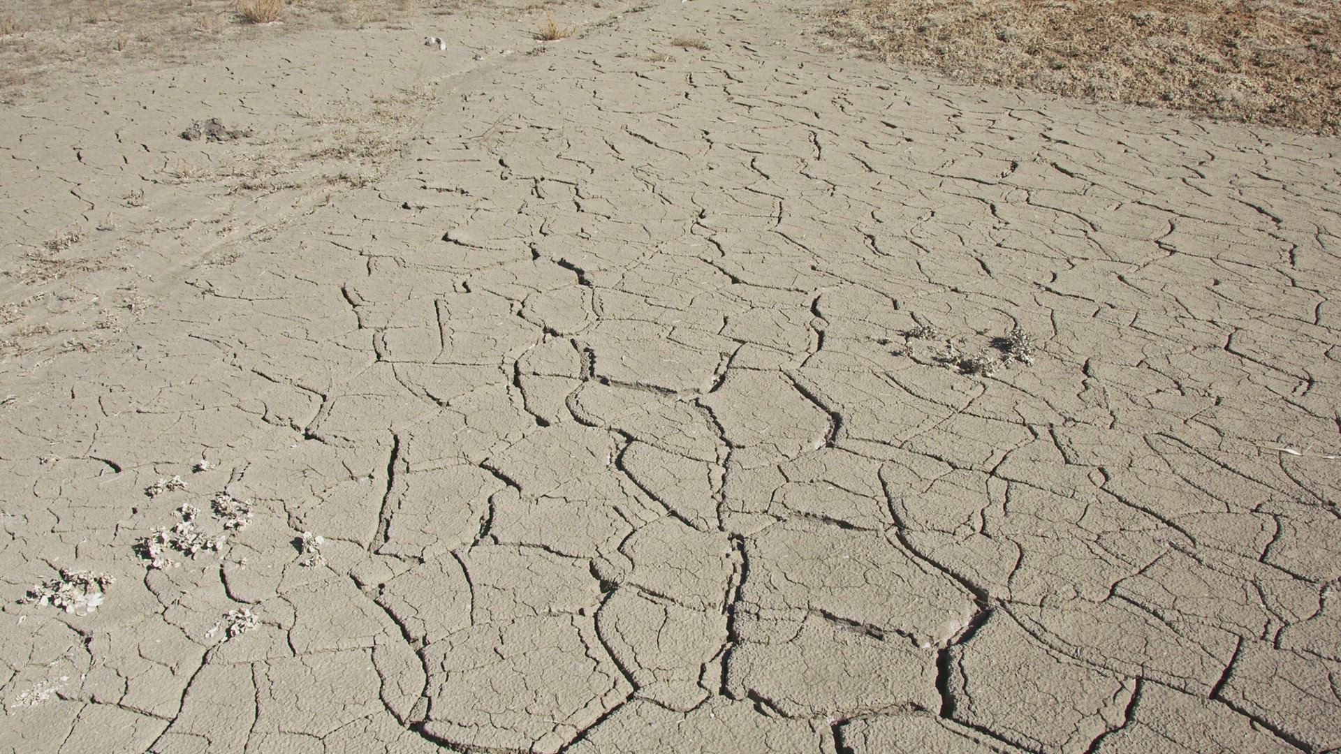 Dry cracked soil at the base of a cliff in the desert