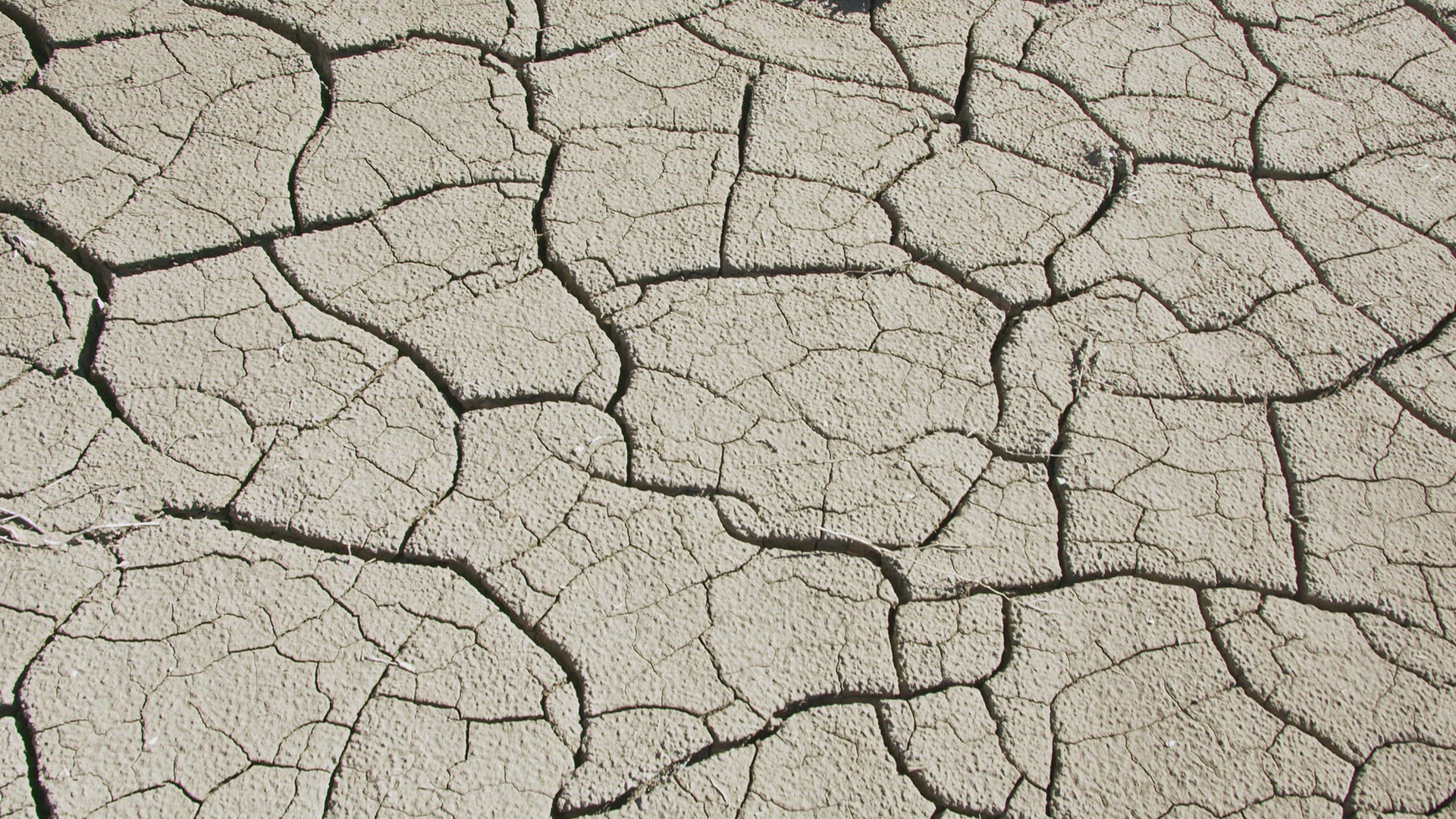 Walking over dry cracked soil from the mud drying in the Utah desert