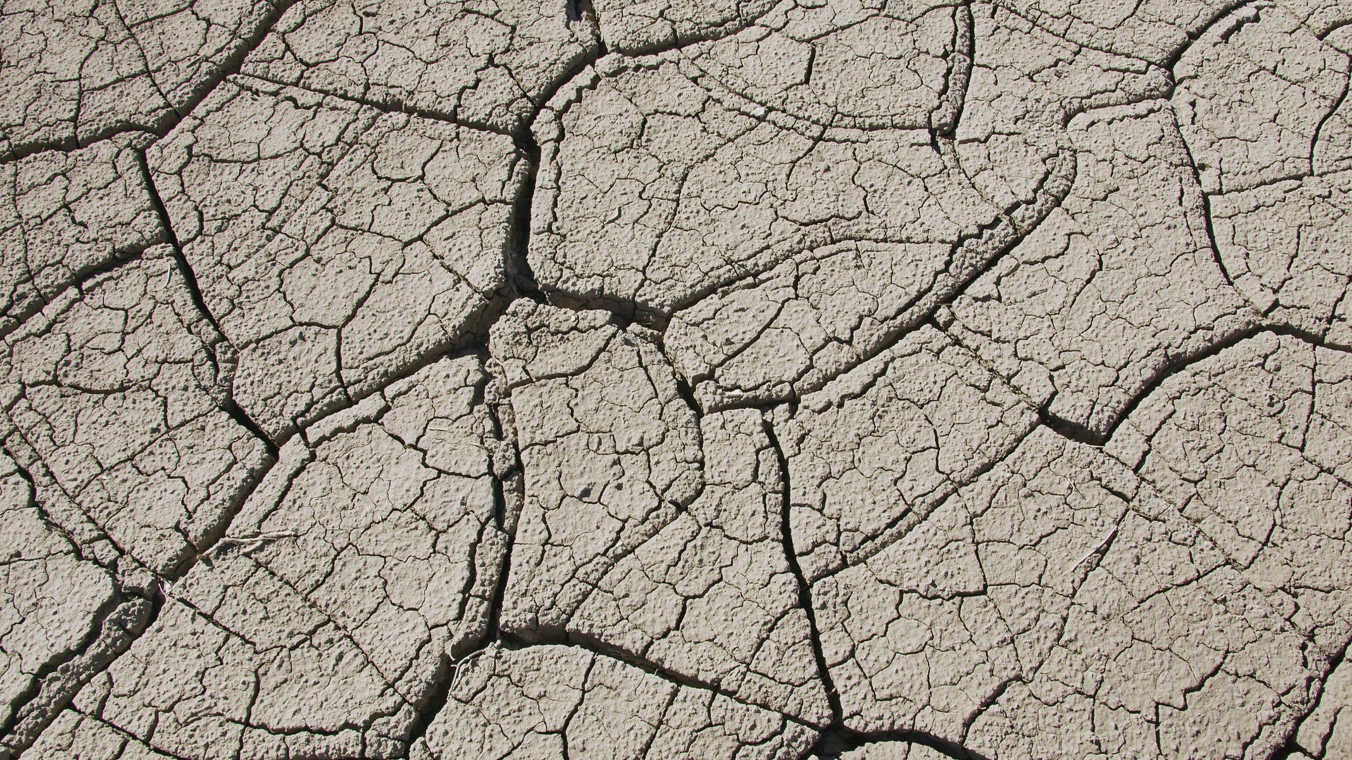 Dry soil with cracks through the mud in the desert