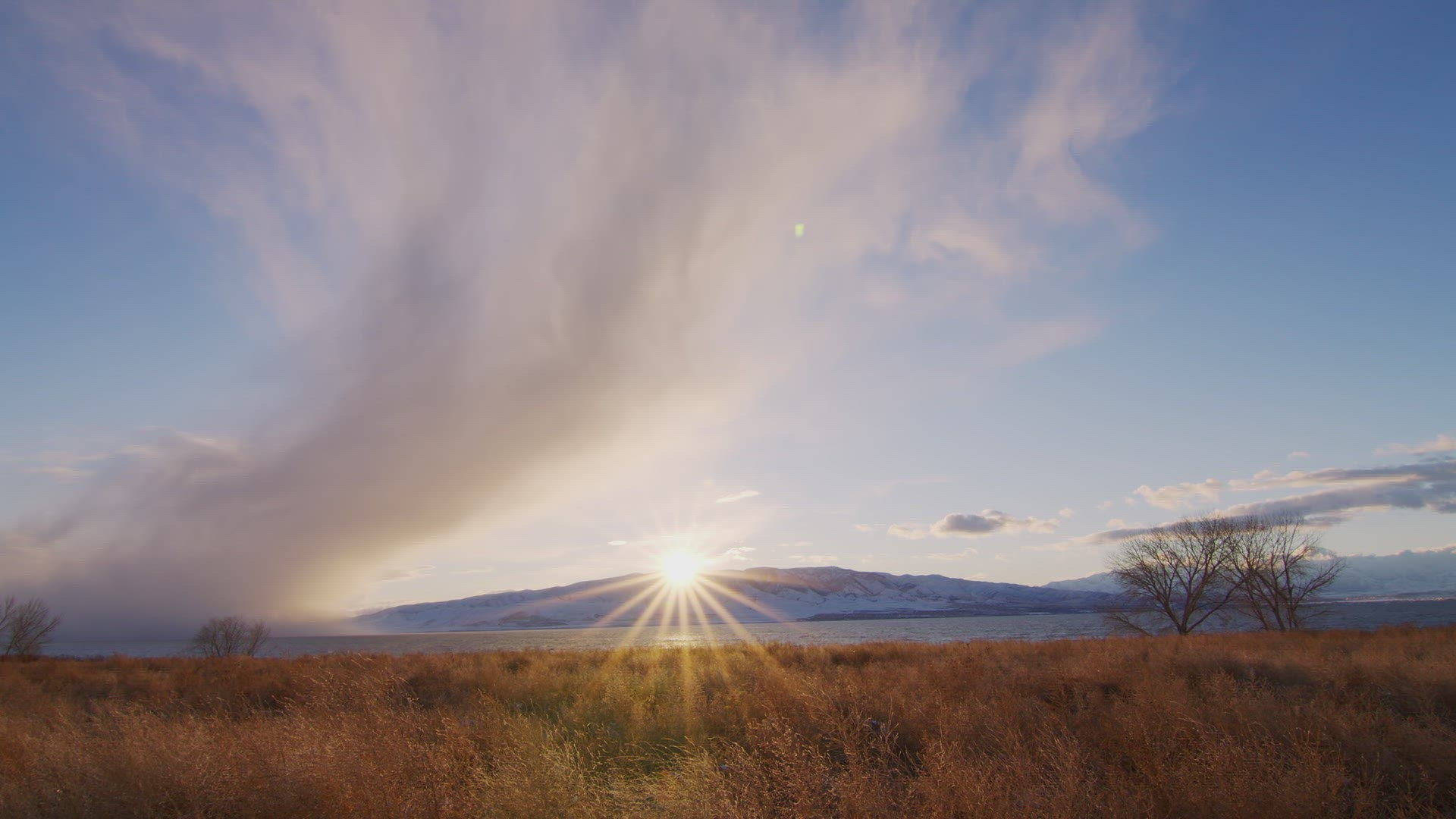 Wind blowing over golden field looking towards the sun with snow storm cell