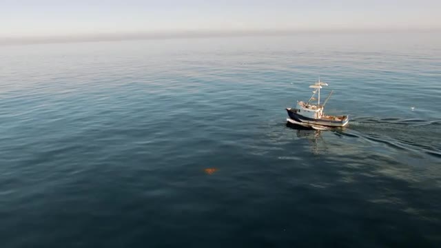 Ocean Aerial: Squid Fishing Boat in Open Water