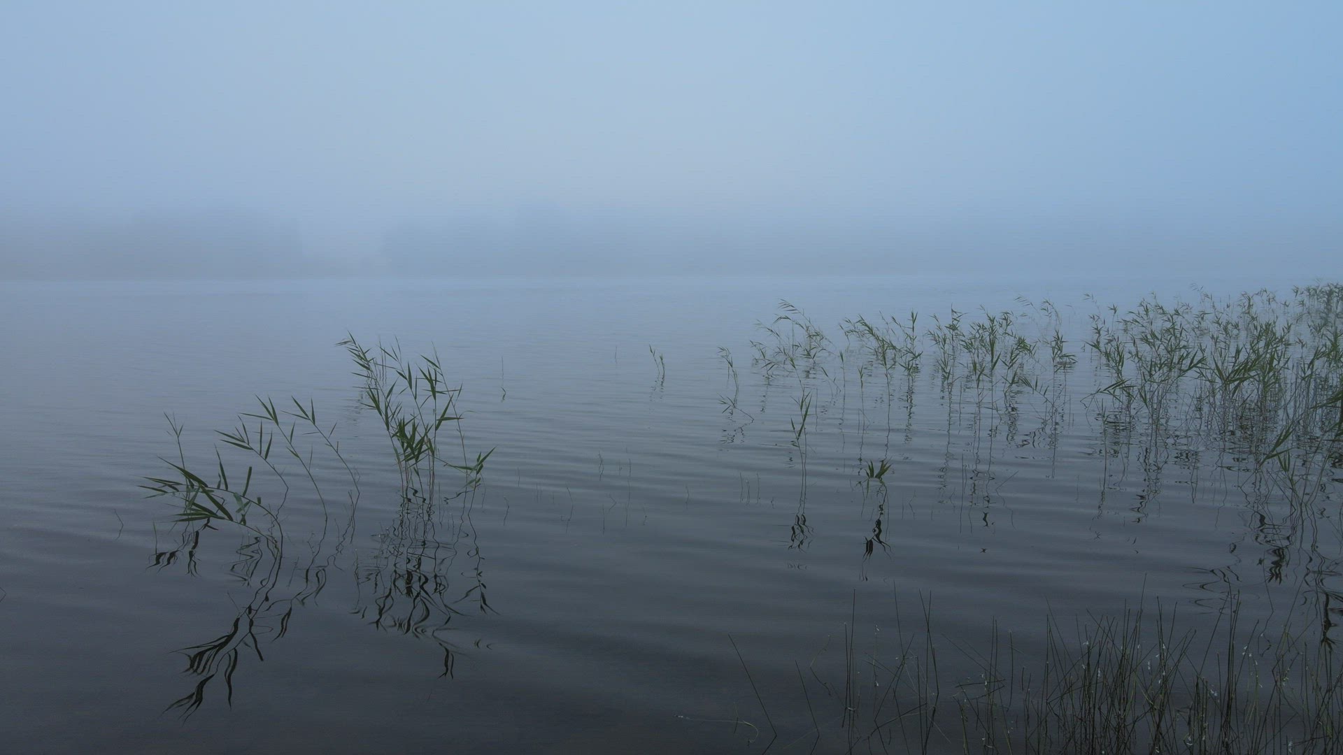 drone shot - flying over foggy lake with seed