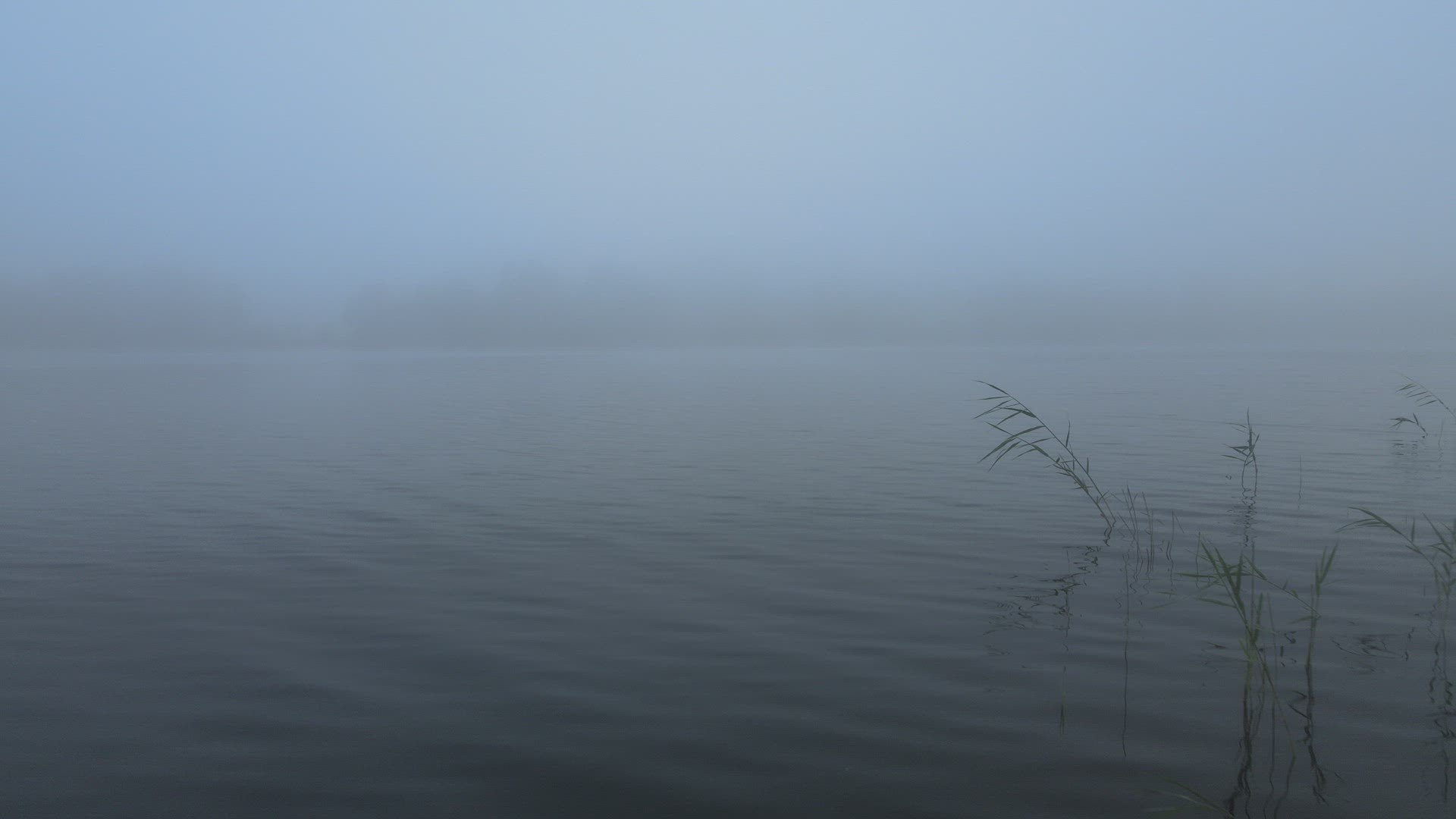 drone shot - aerial over lake with seed in fog