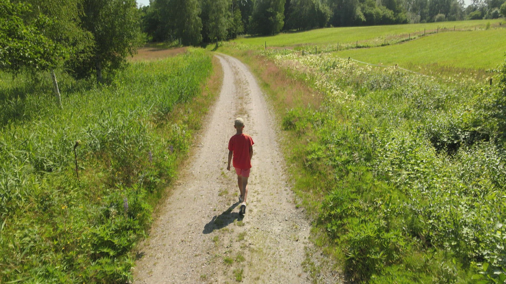 drone shot - boy walking on small country road - sunny summer day