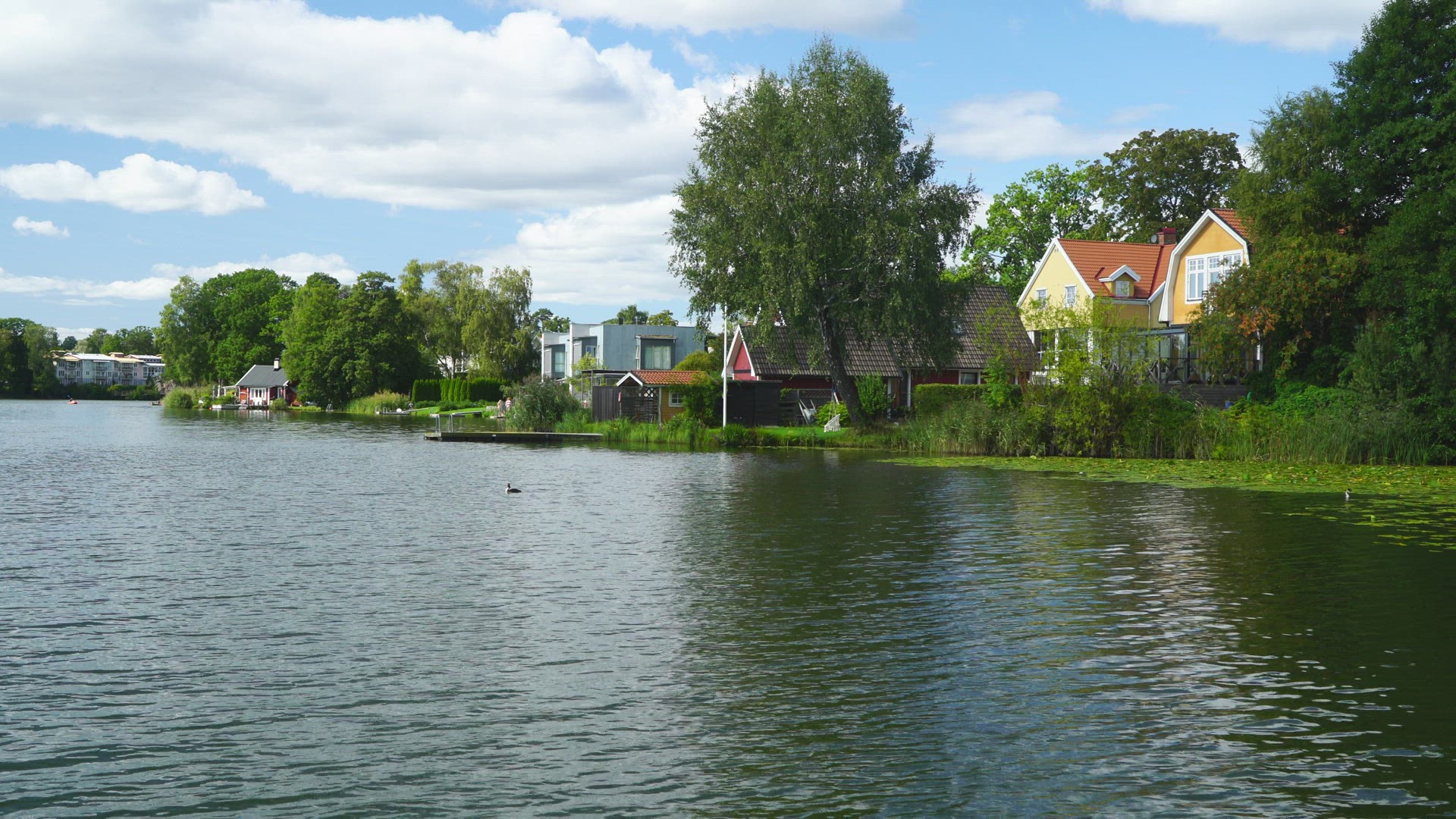 houses built close to water in lake and beach
