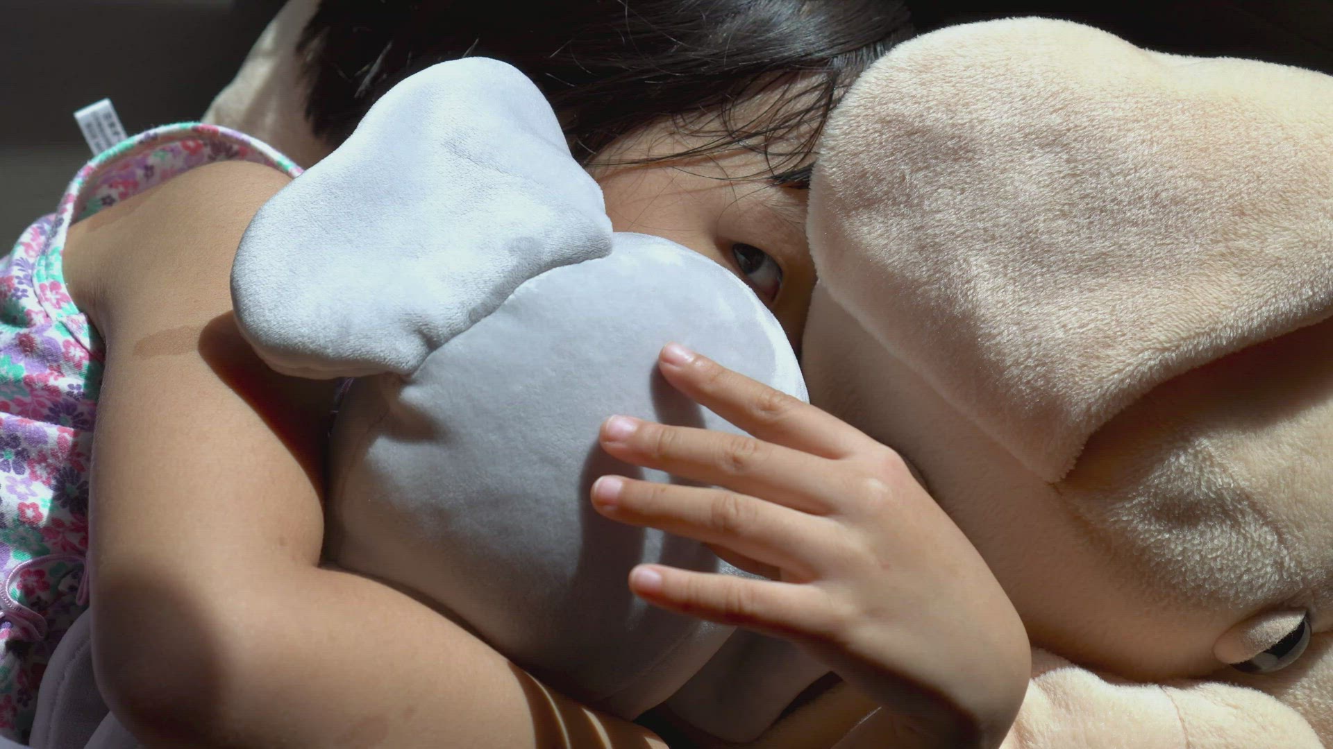Little girl sleep with companion of elephant and dog plush toy