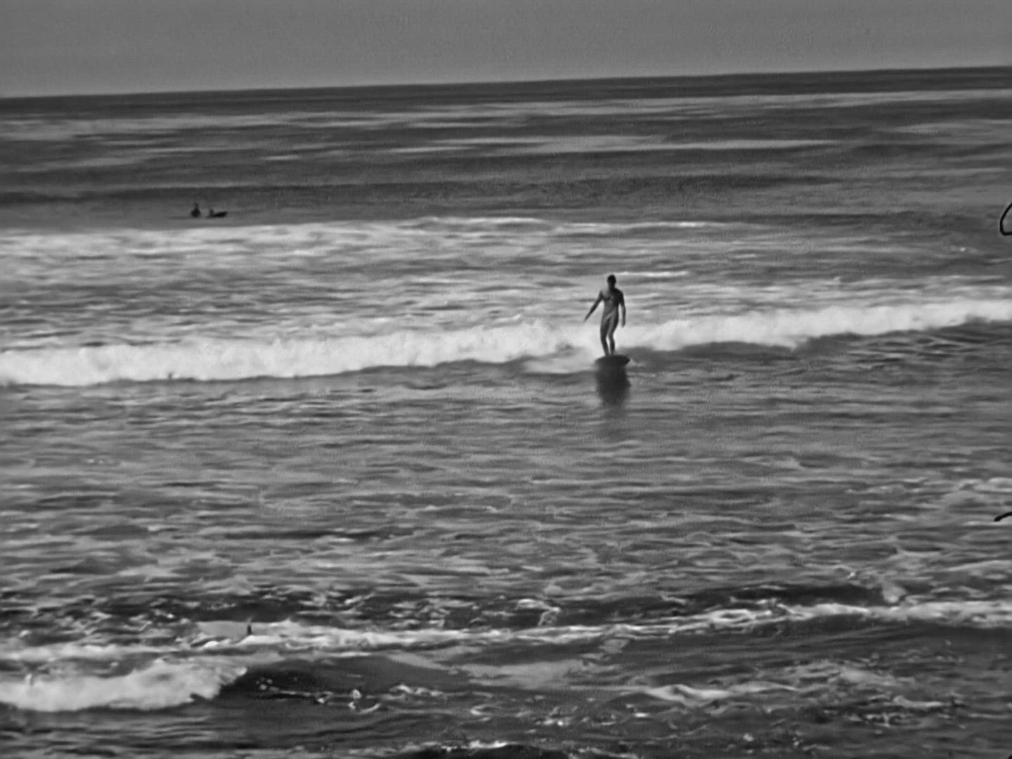 Surfing at La Jolla 1954
