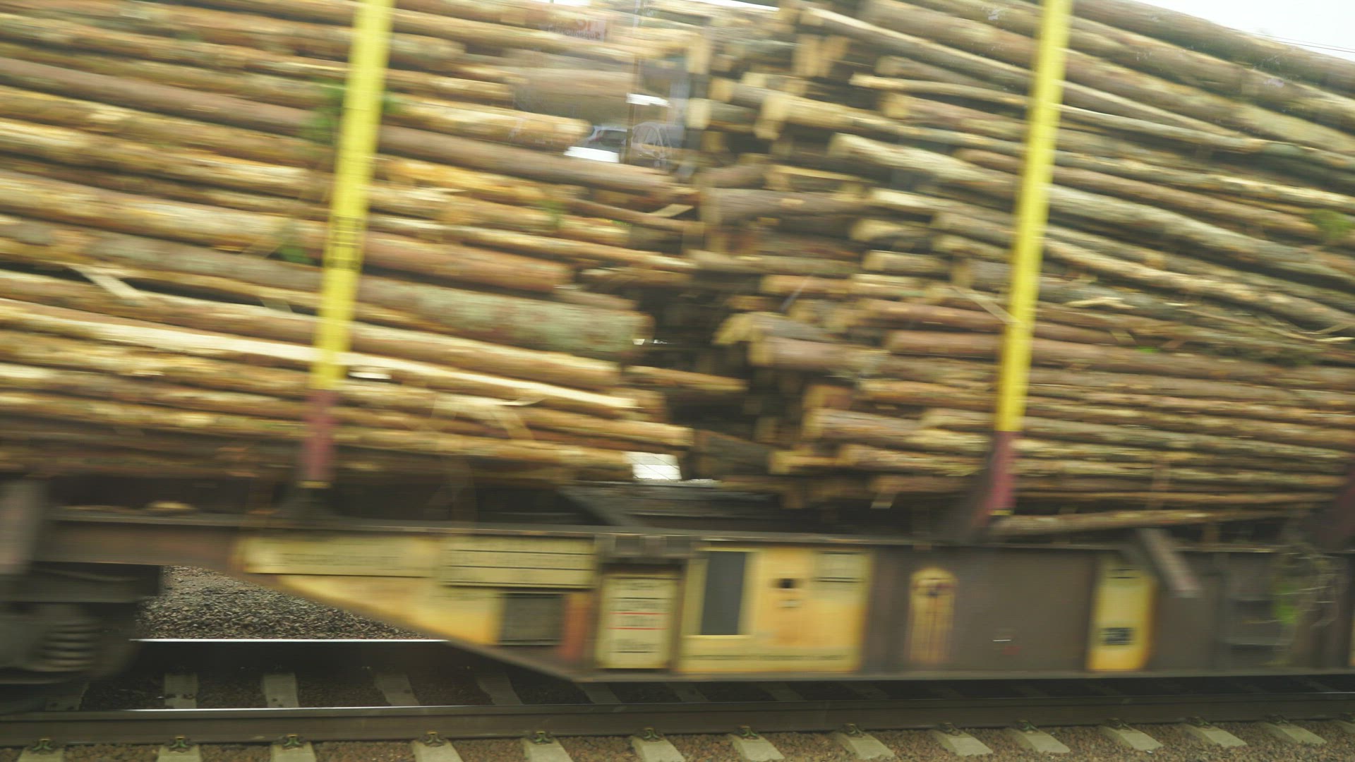freight train - transporting timber