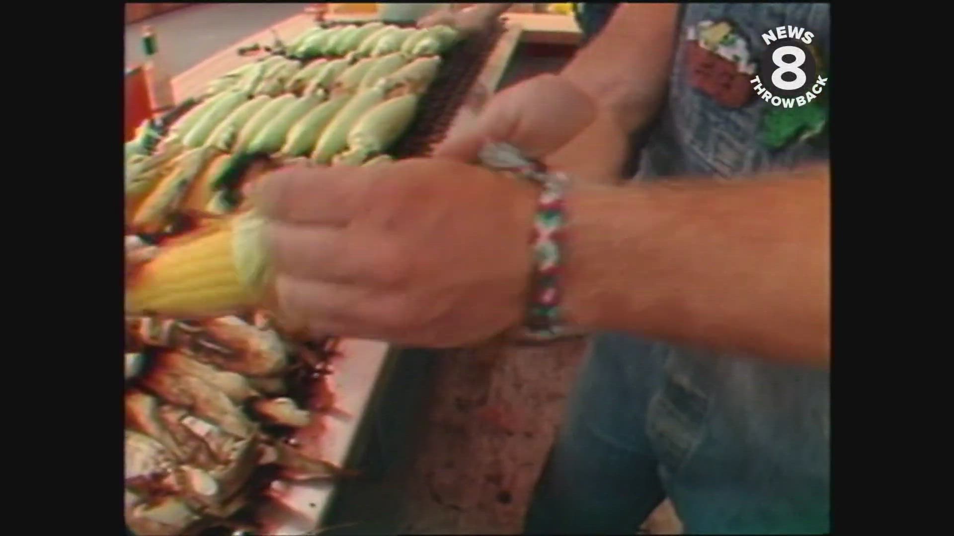 Del Mar Fair Essay 1989