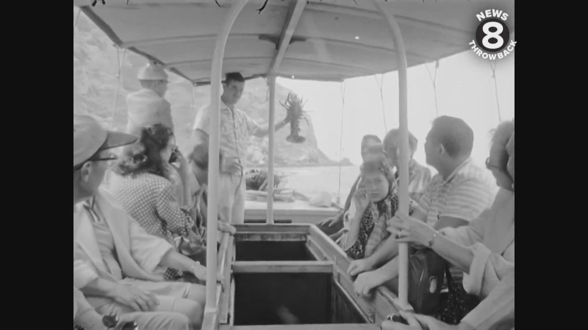 Trip to the Coronado Islands 1958