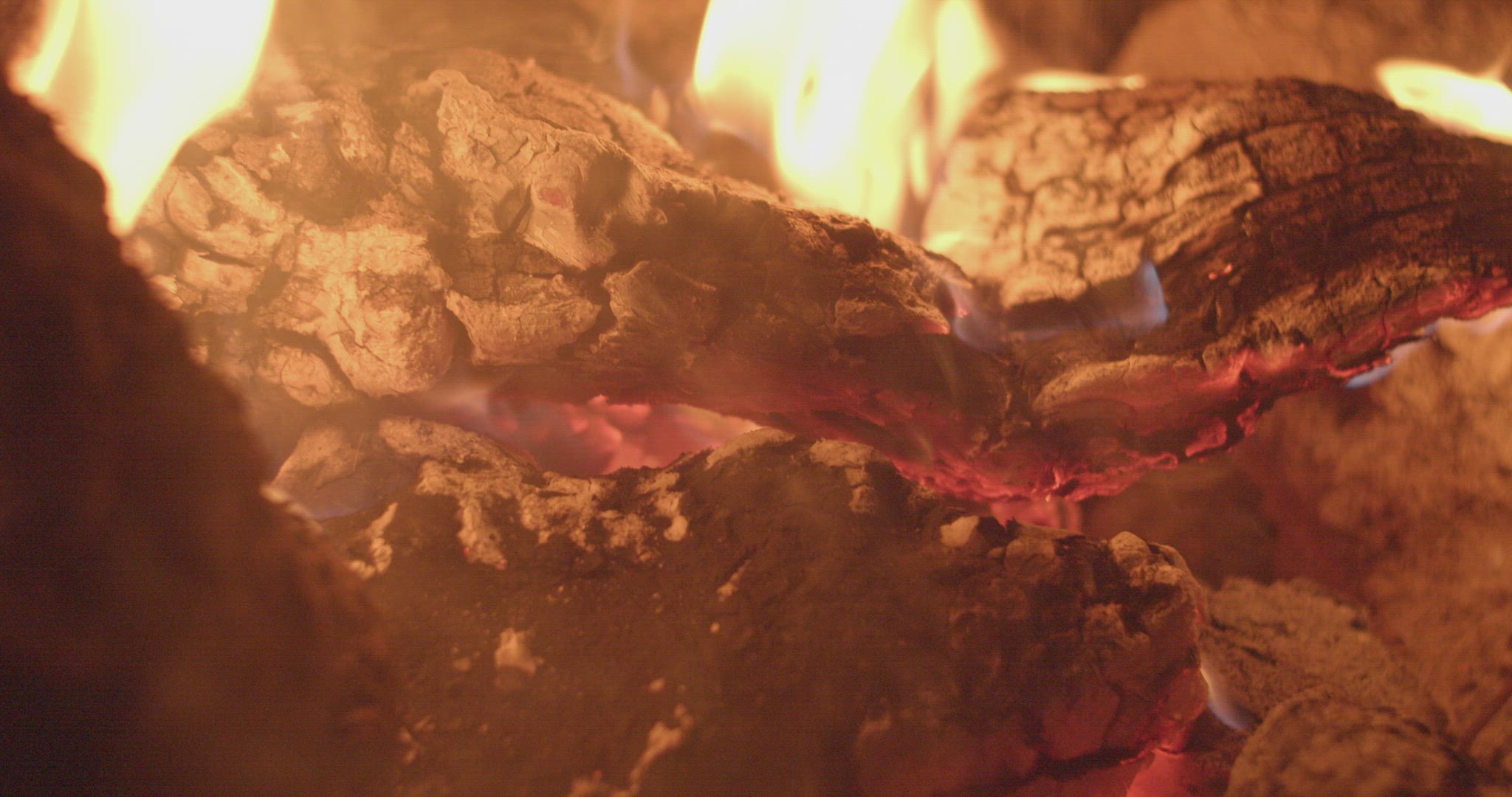 Fire flames and burning wood