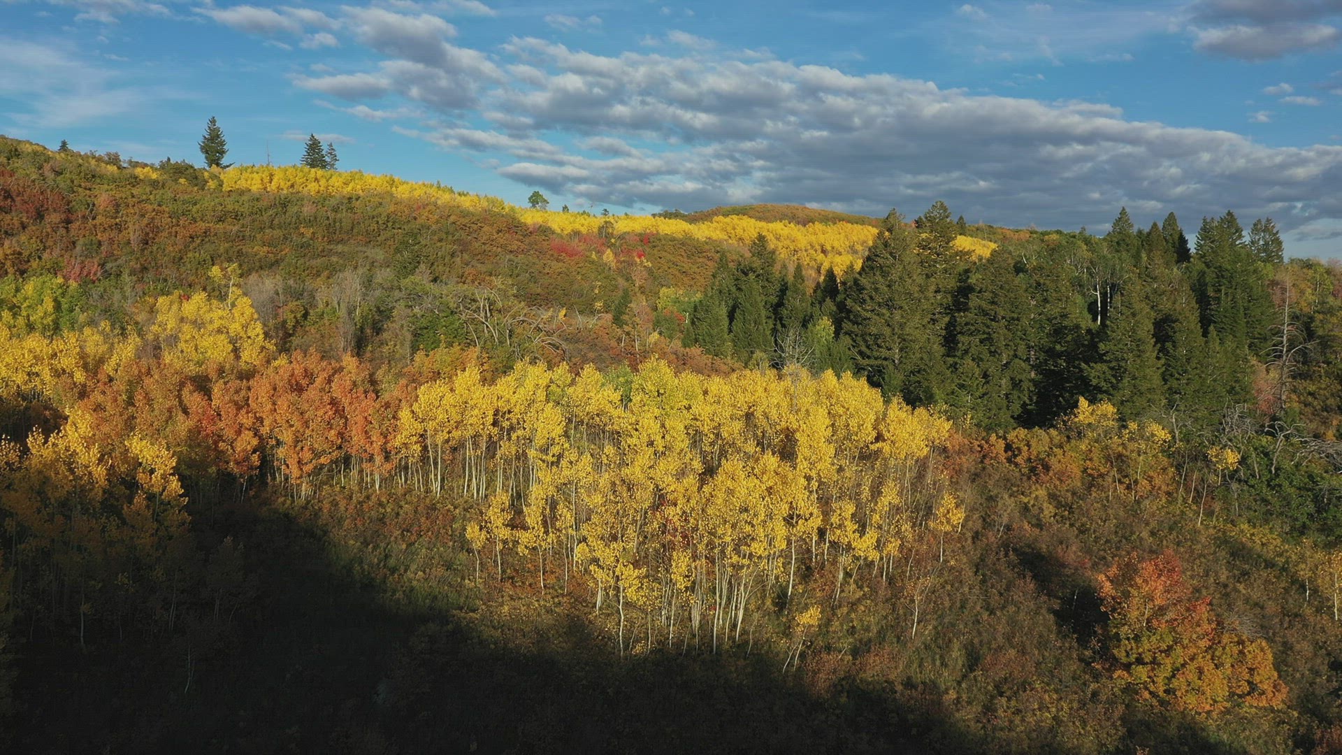 Flying over colorful Fall rolling hills in Utah