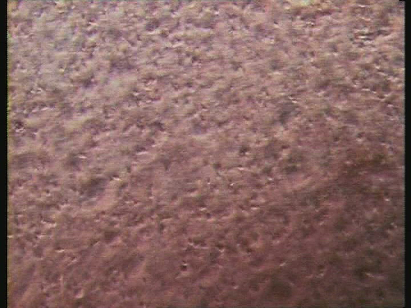 Sperm swimming