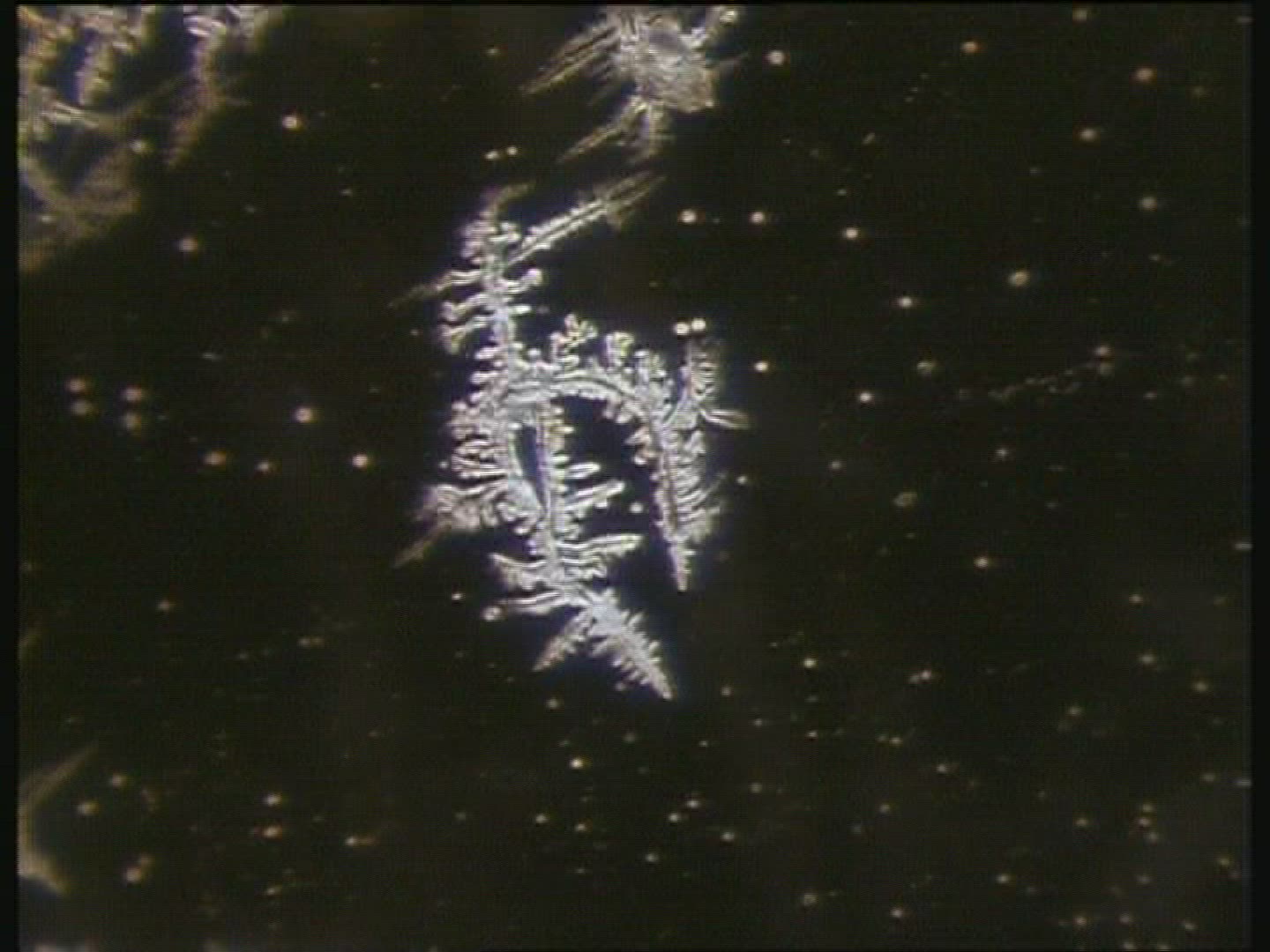 Mucus membrane within the cervix drying creating "ferning" 