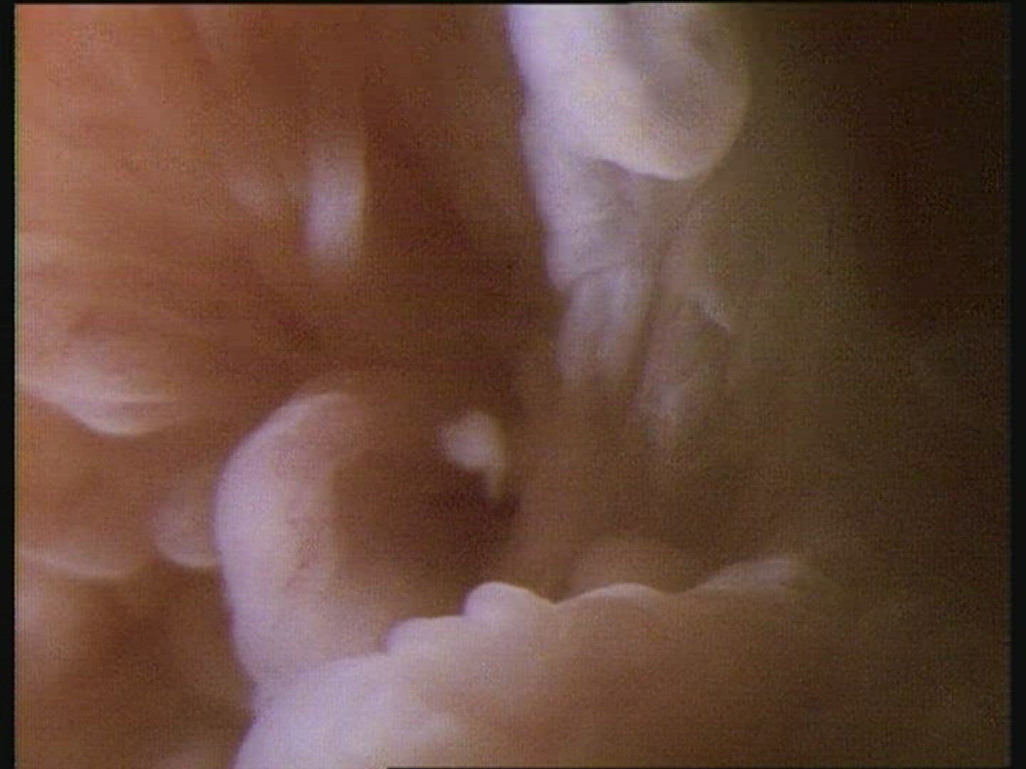 Human egg entering fallopian tube