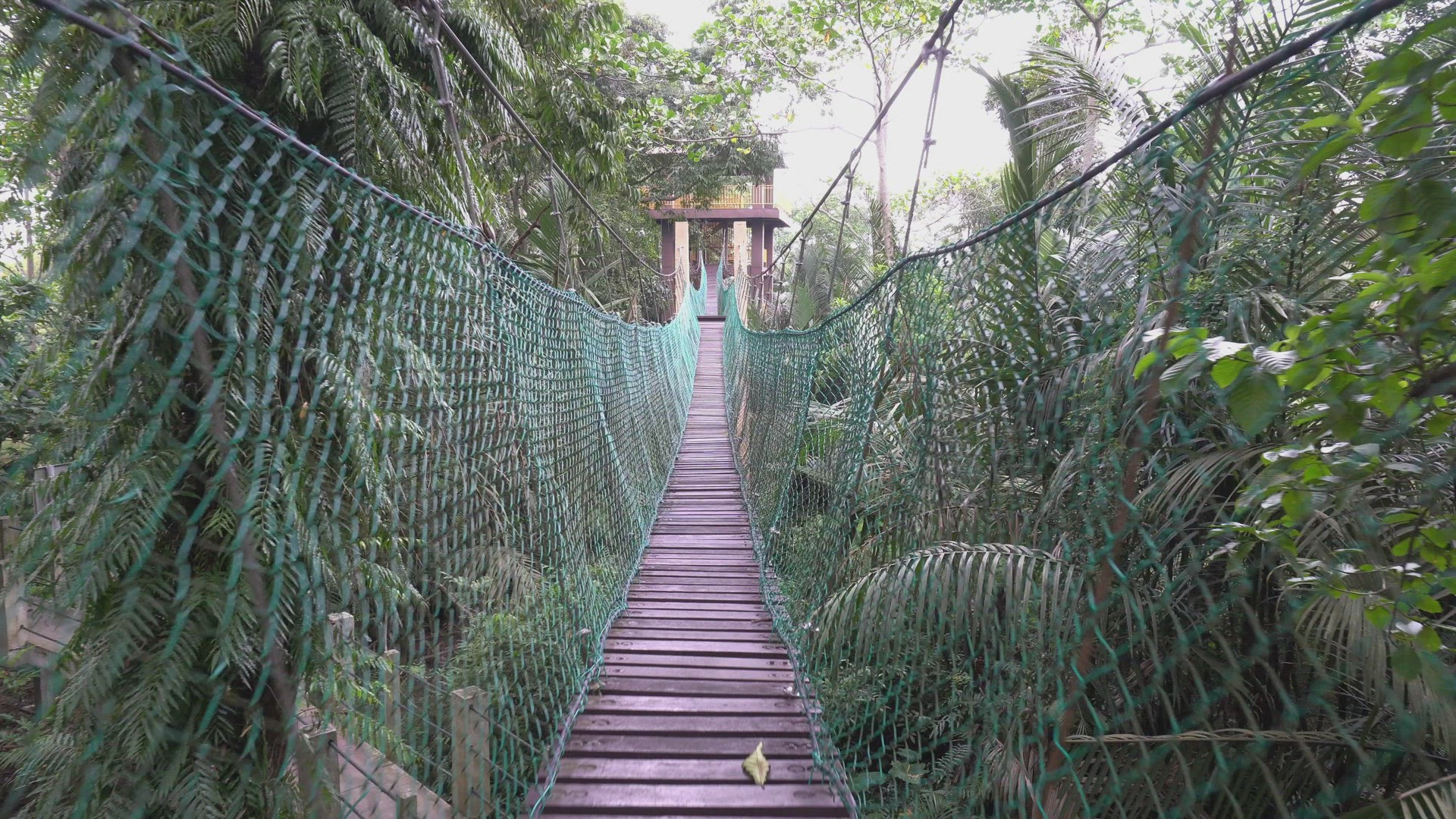Move at wooden suspension bridge.