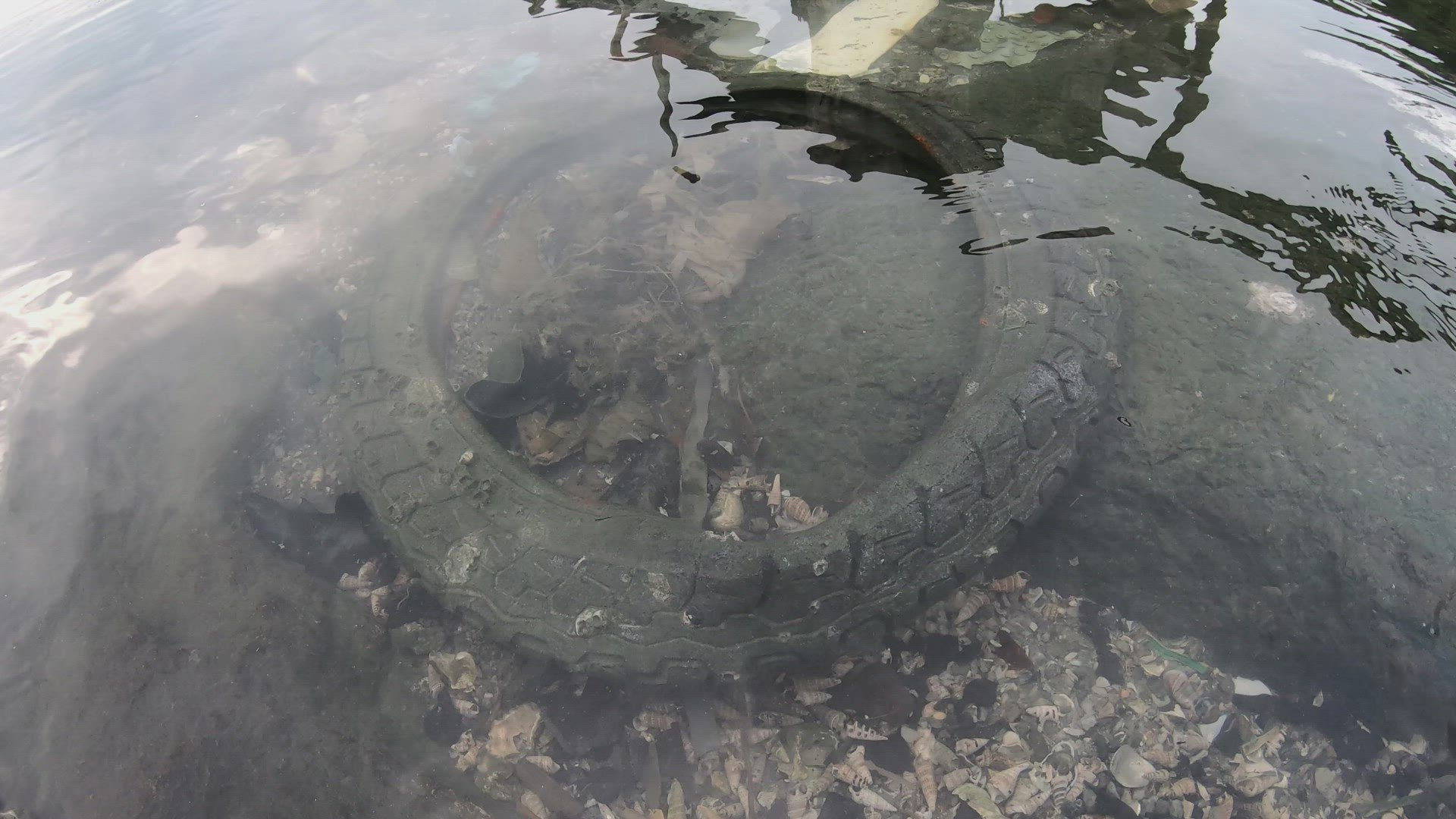 Old tire as rubbish in sea water.