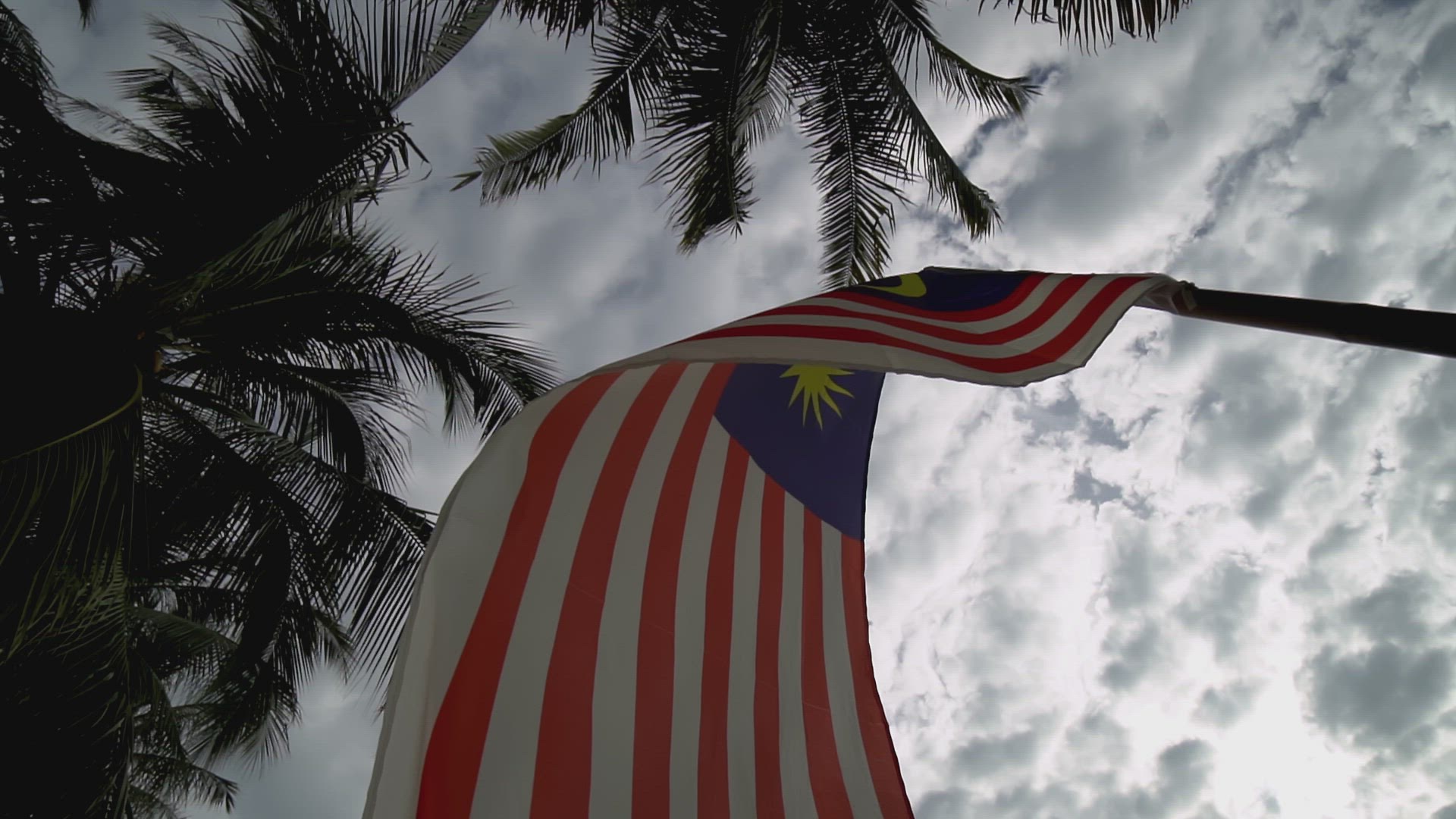 Slow motion Malaysia waving under coconut