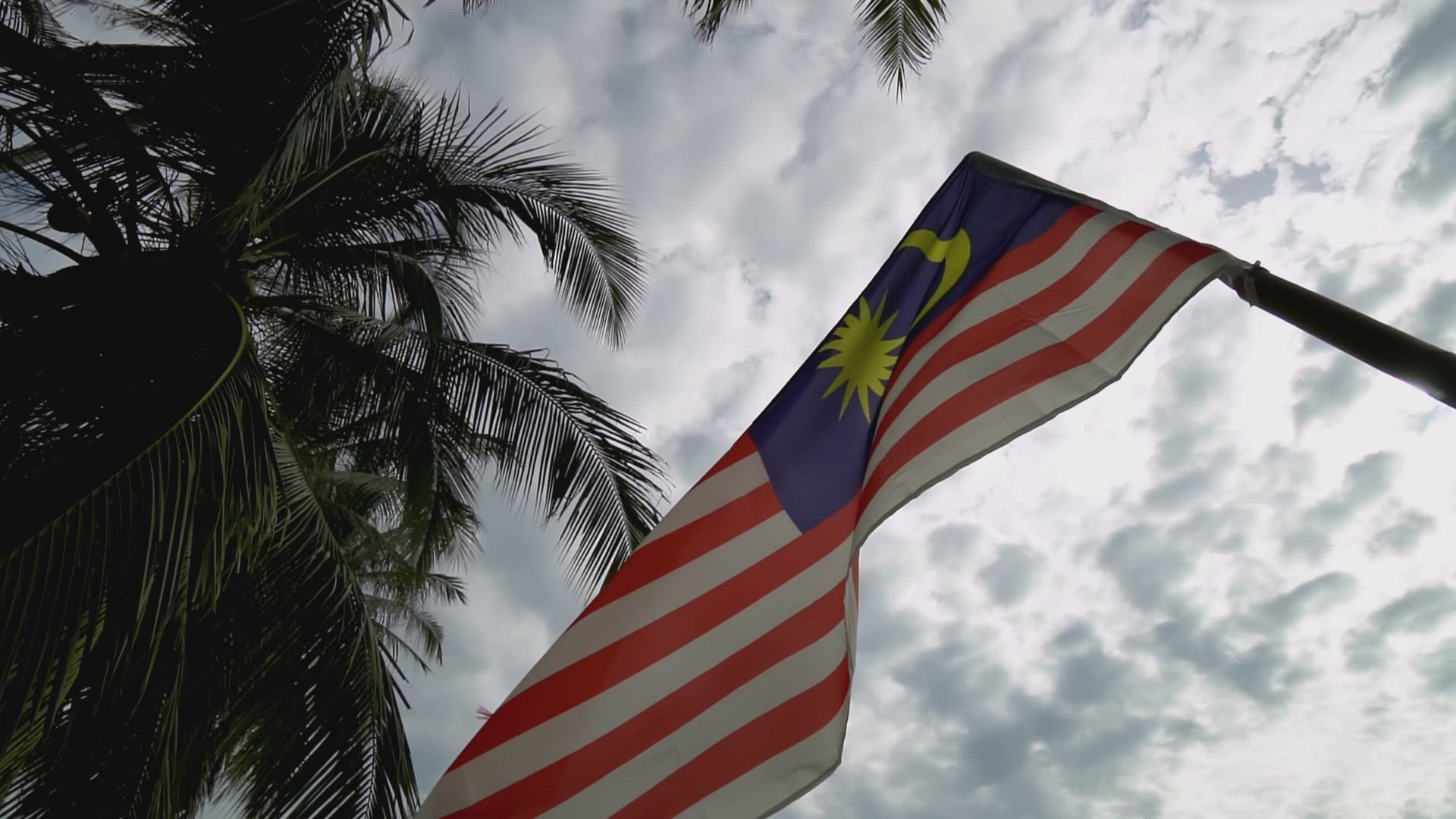 Slow motion Malaysia flag move at coconut palm
