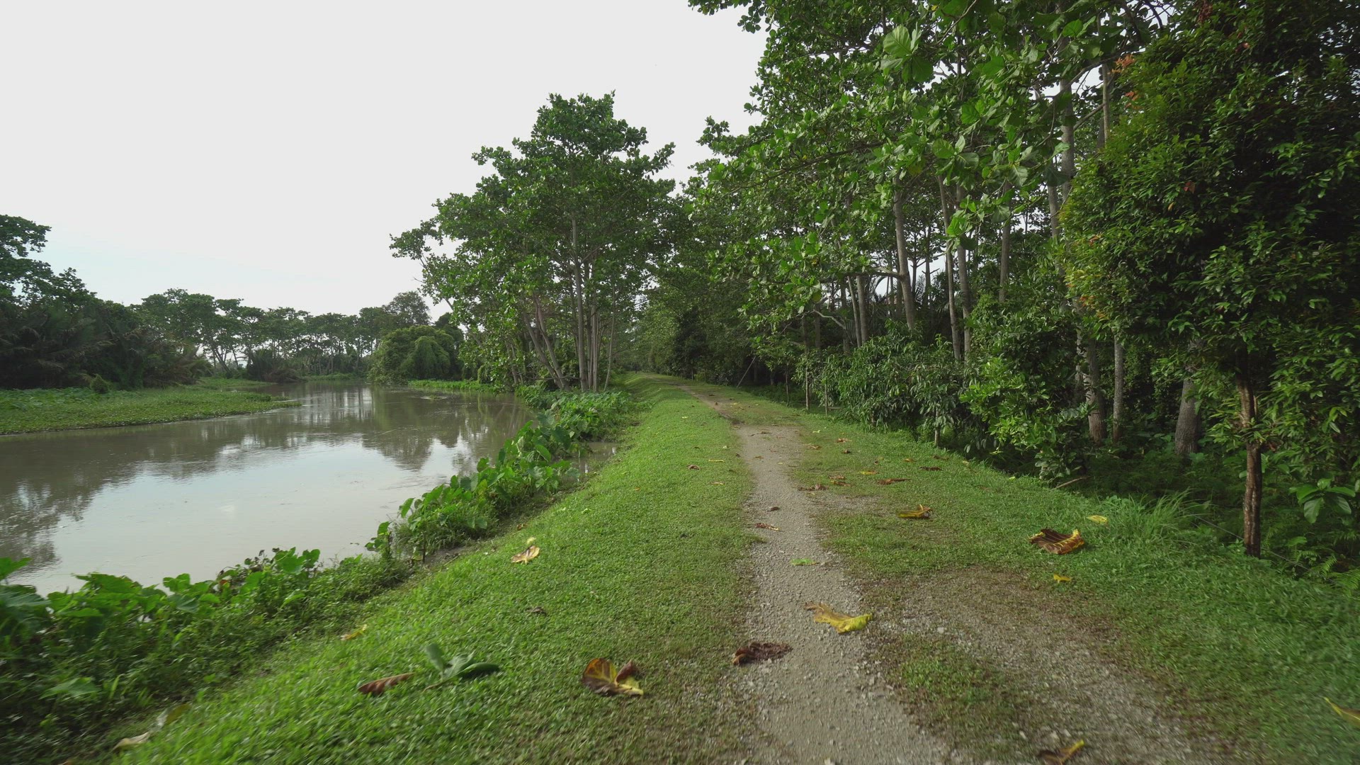 Move at country side road beside river 