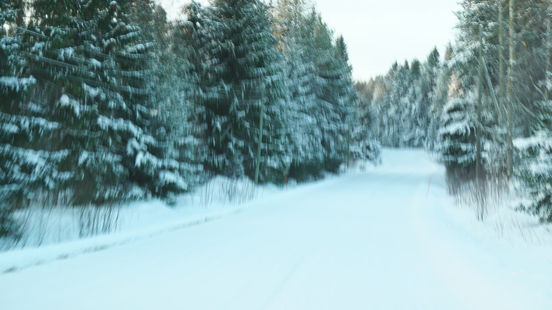 pov from car - driving throug forest in Finland - drivers view - front window