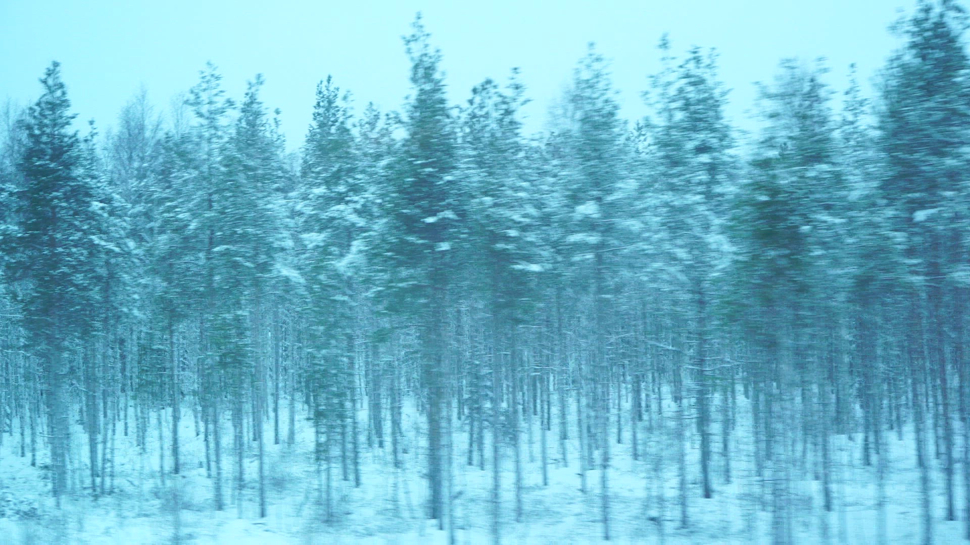 point of view from train - travelling through forest in Finland