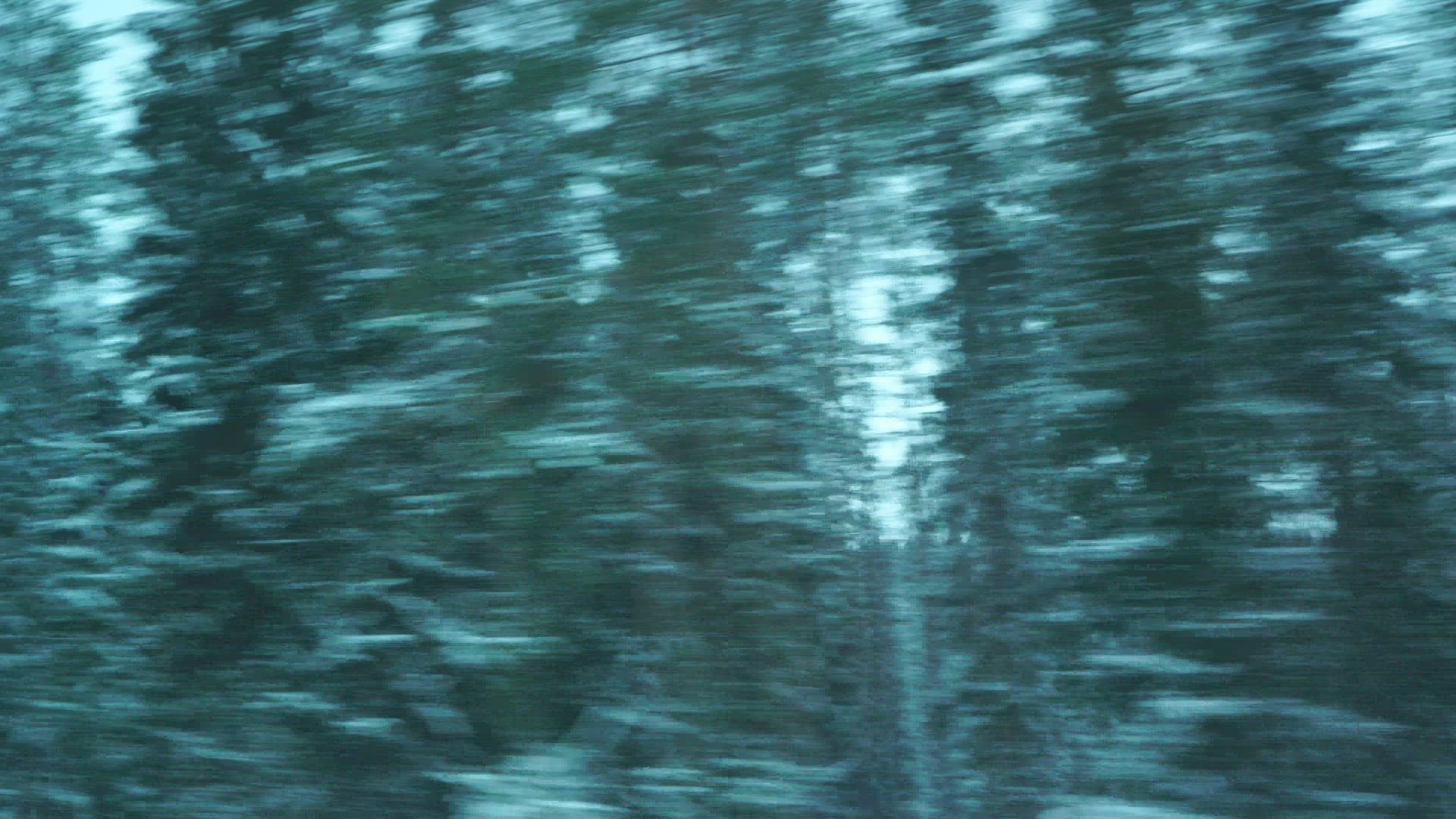 pov - side window view from train - travelling through forest in Finland