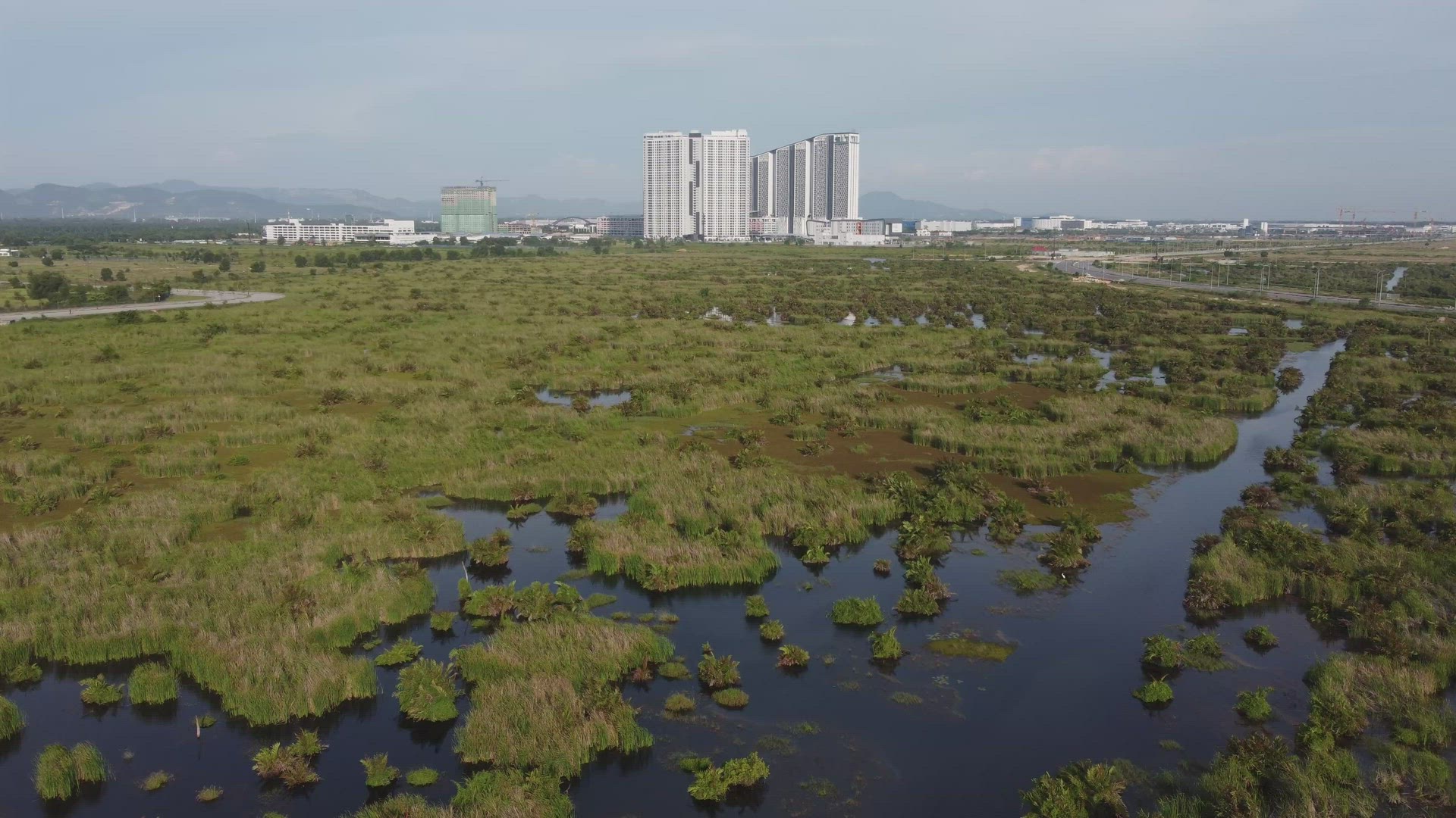 Aerial view peatlands of Batu Kawan