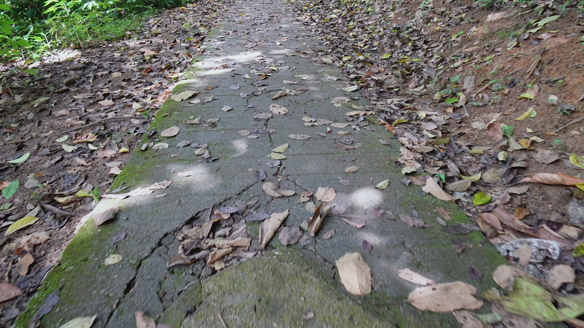 Slowly move at the path in jungle trekking