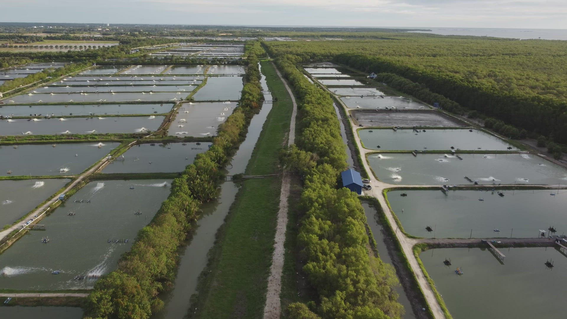 Aerial fly over shrimp or fish farm.